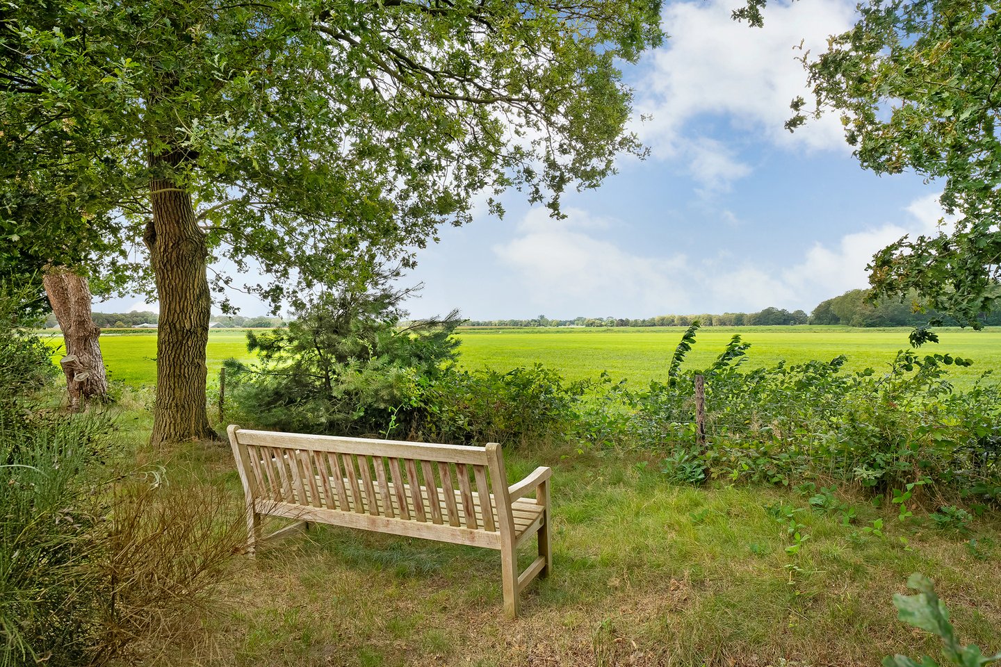 Natuurhuisje in Ruinen