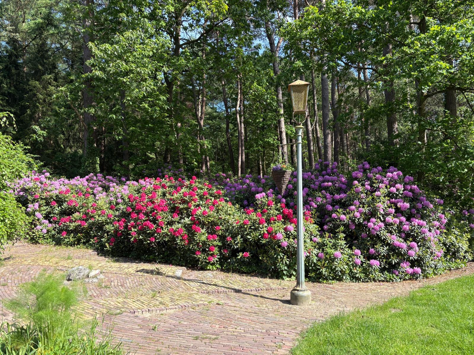 Natuurhuisje in Oldebroek