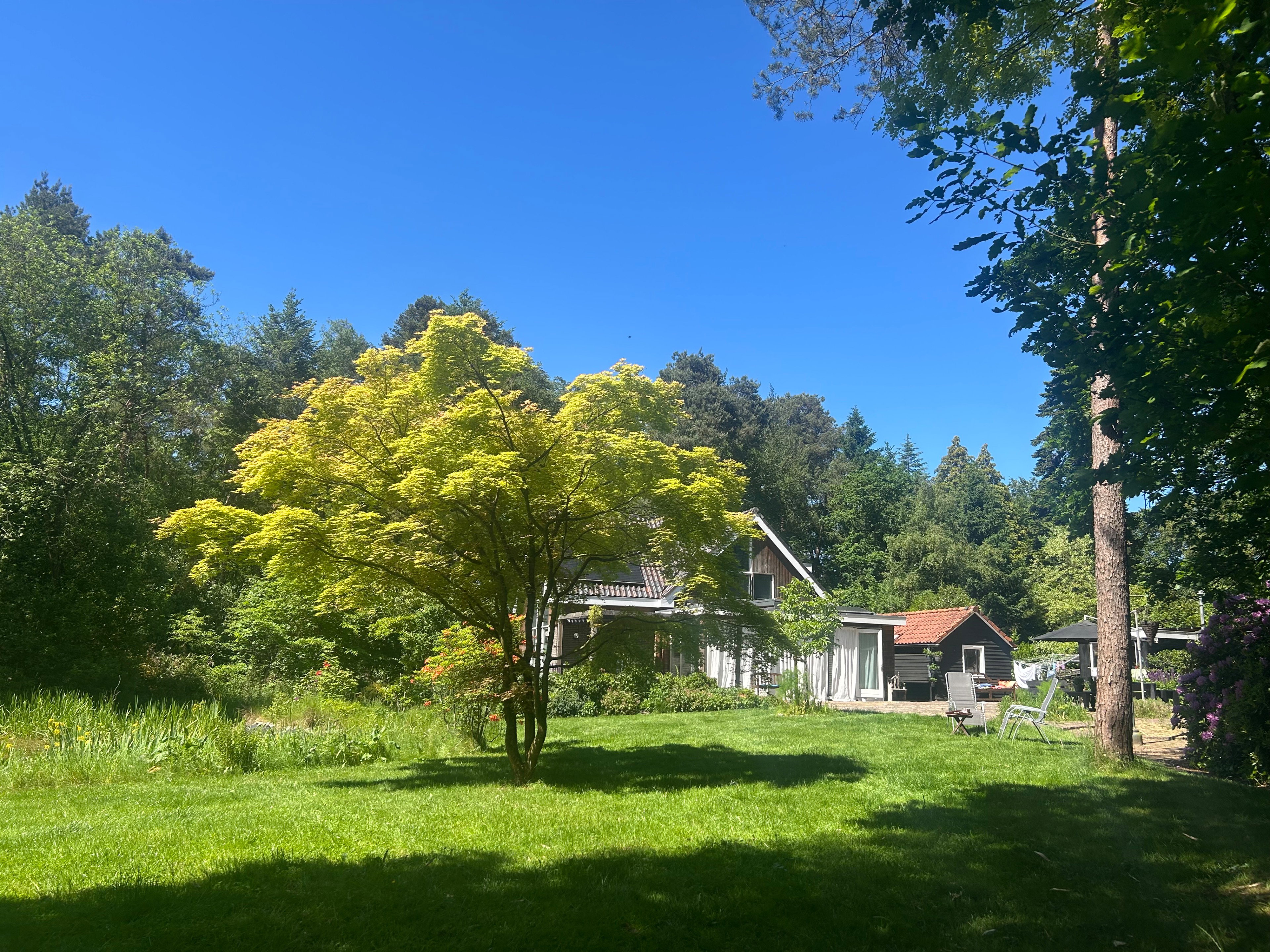 Natuurhuisje in Oldebroek
