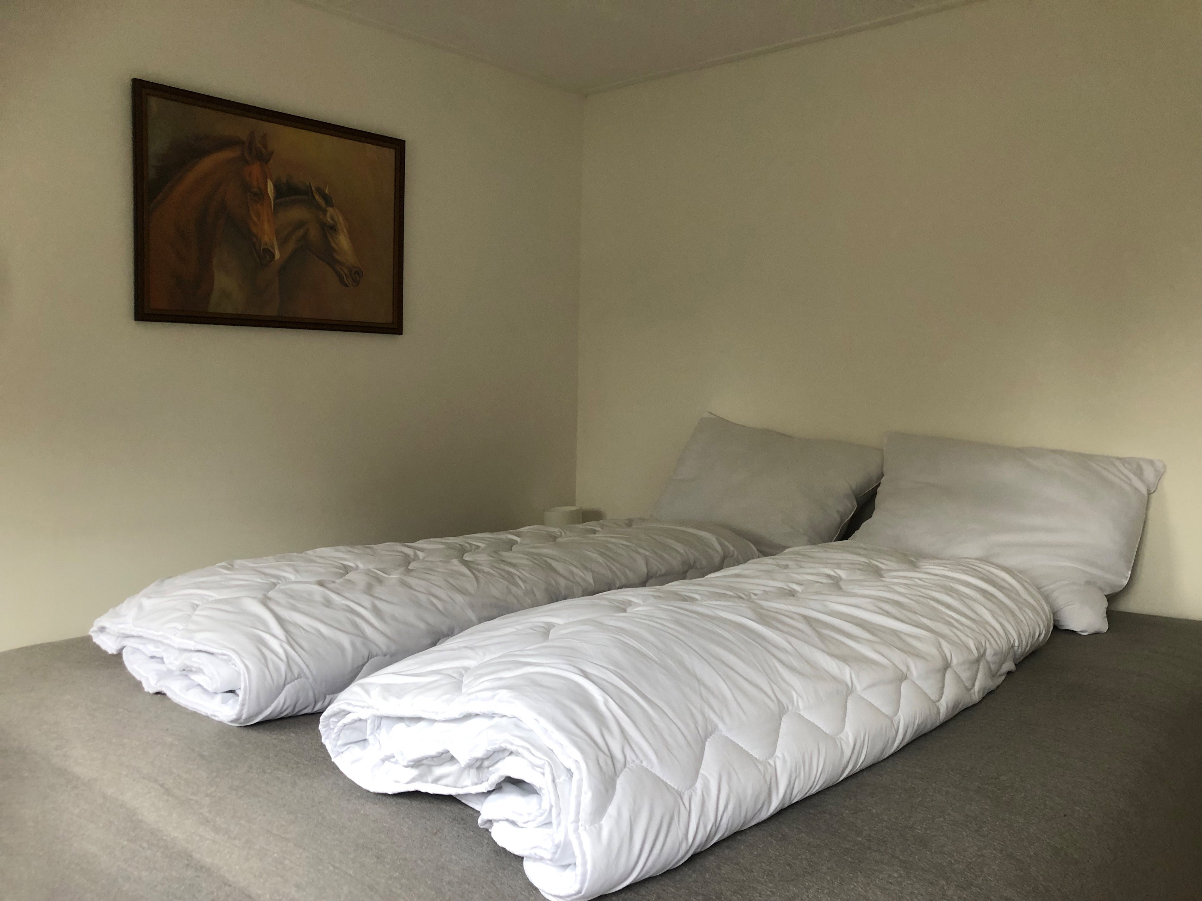Natuurhuisje in Wenum Wiesel