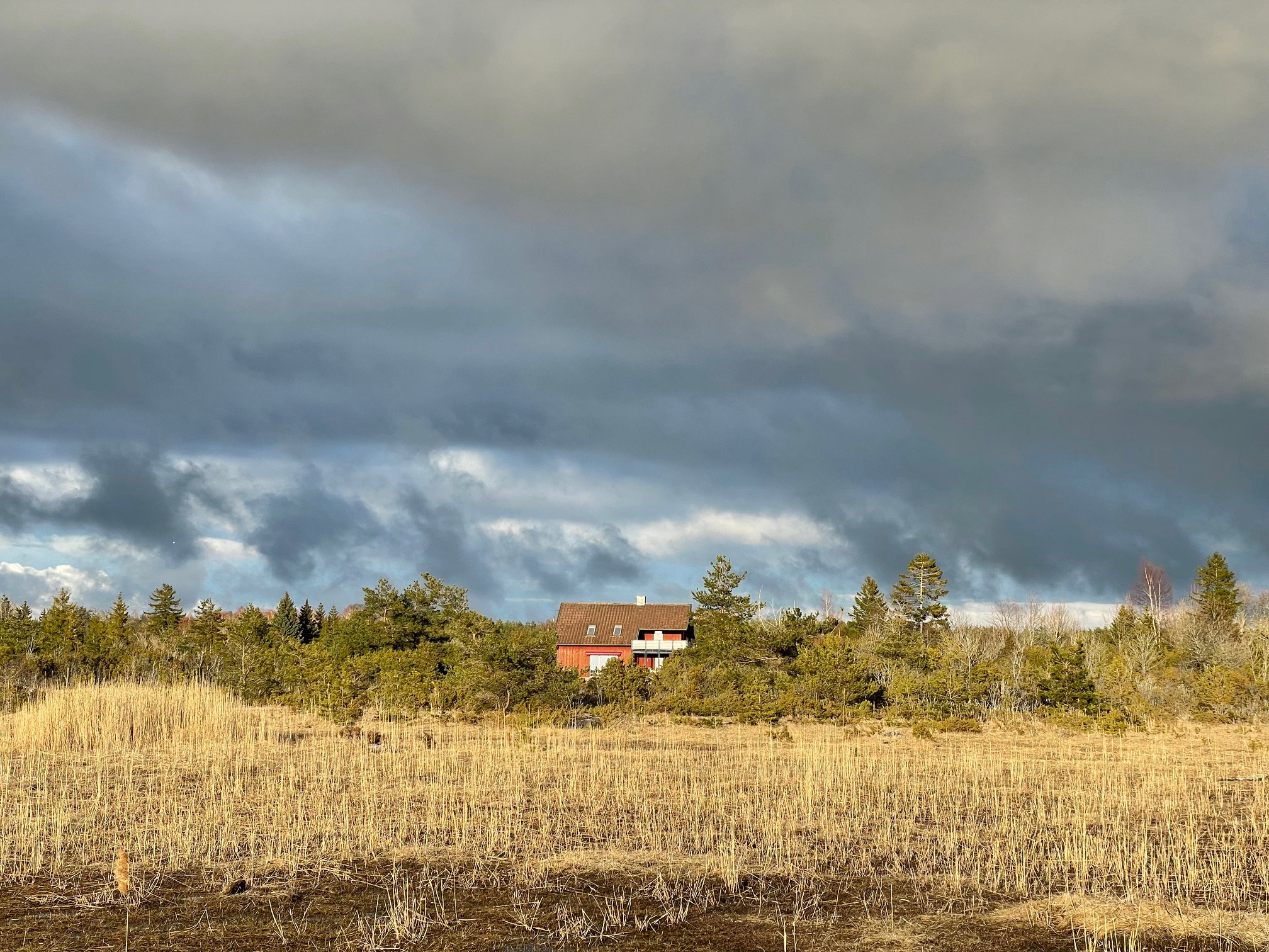 Naturhäuschen in Tirbi