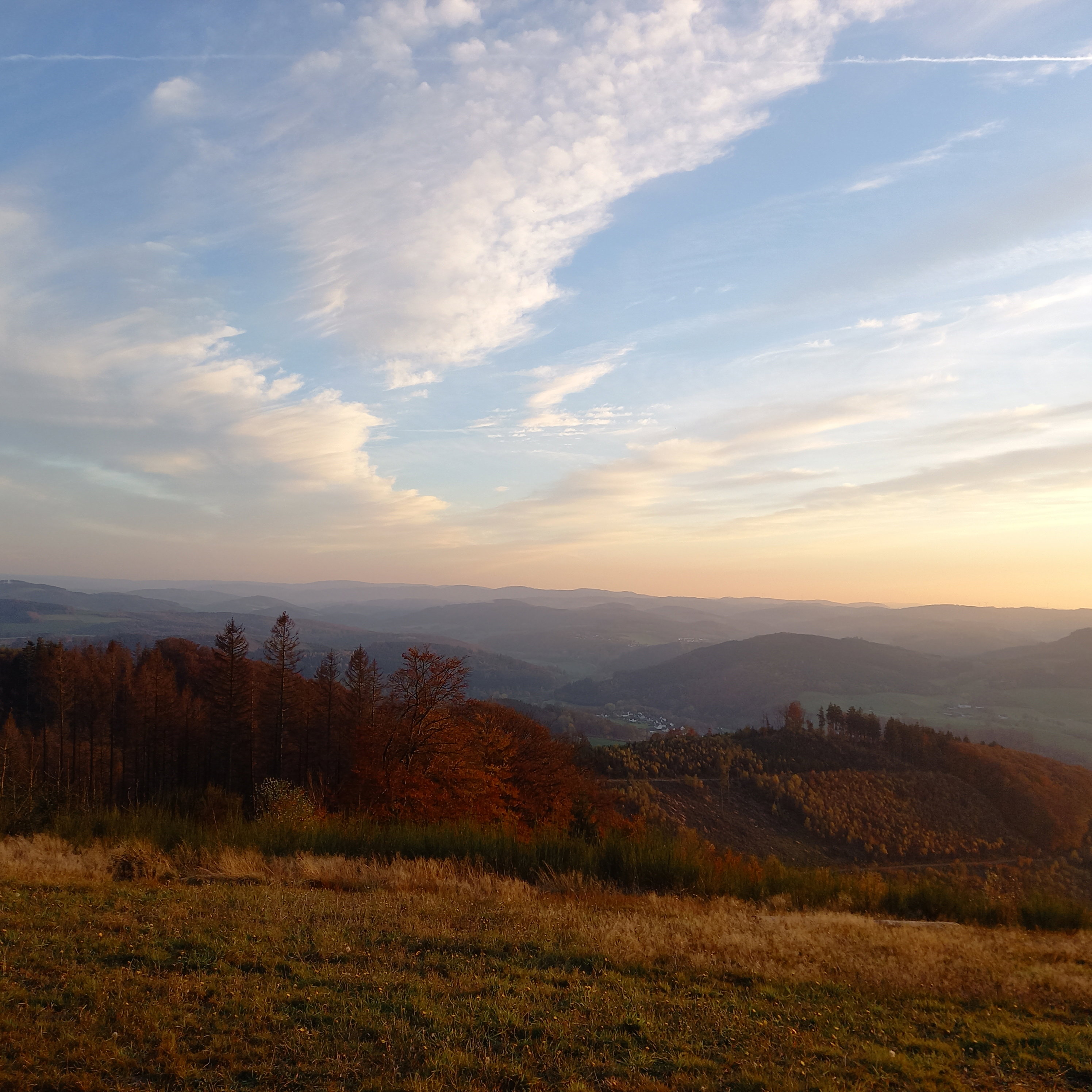 - image: 12