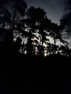 - image: 13