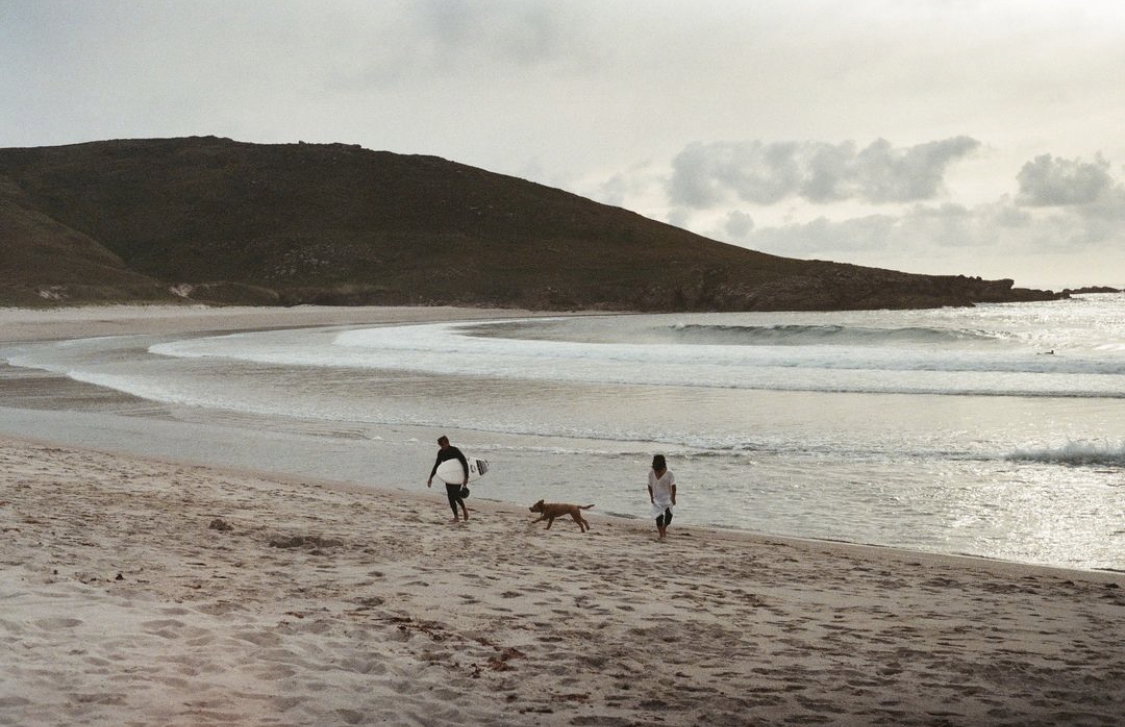 - image: 12