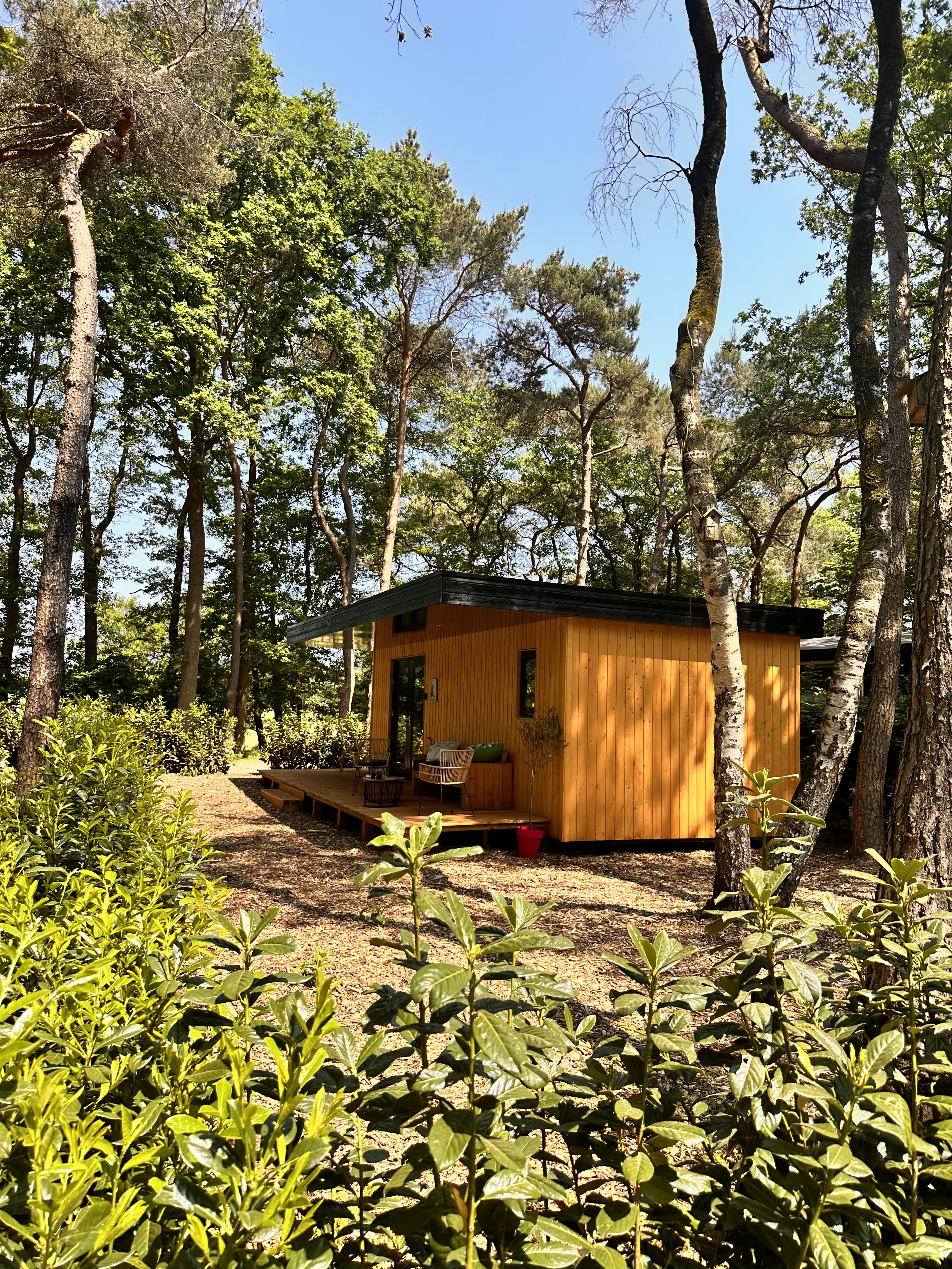 Natuurhuisje in Zuidwolde