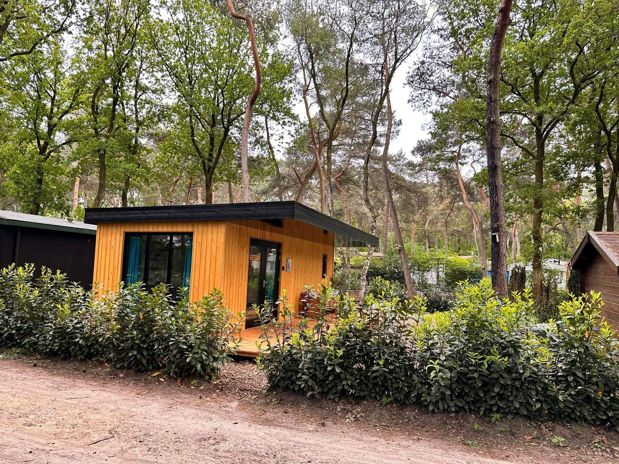 Natuurhuisje in Zuidwolde
