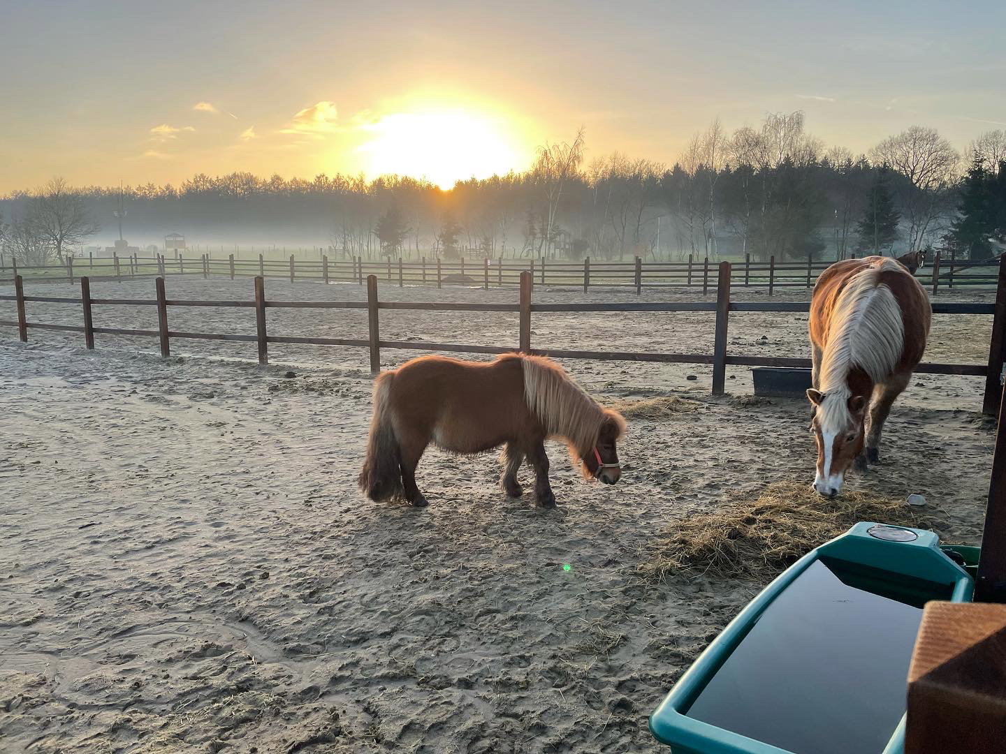 Natuurhuisje in Ellertshaar