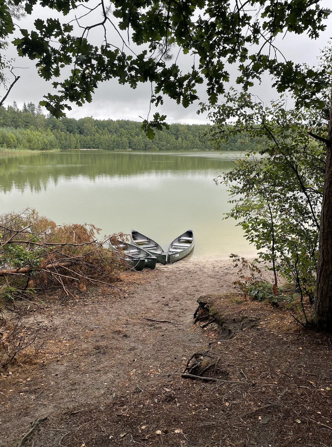 Natuurhuisje in Ellertshaar