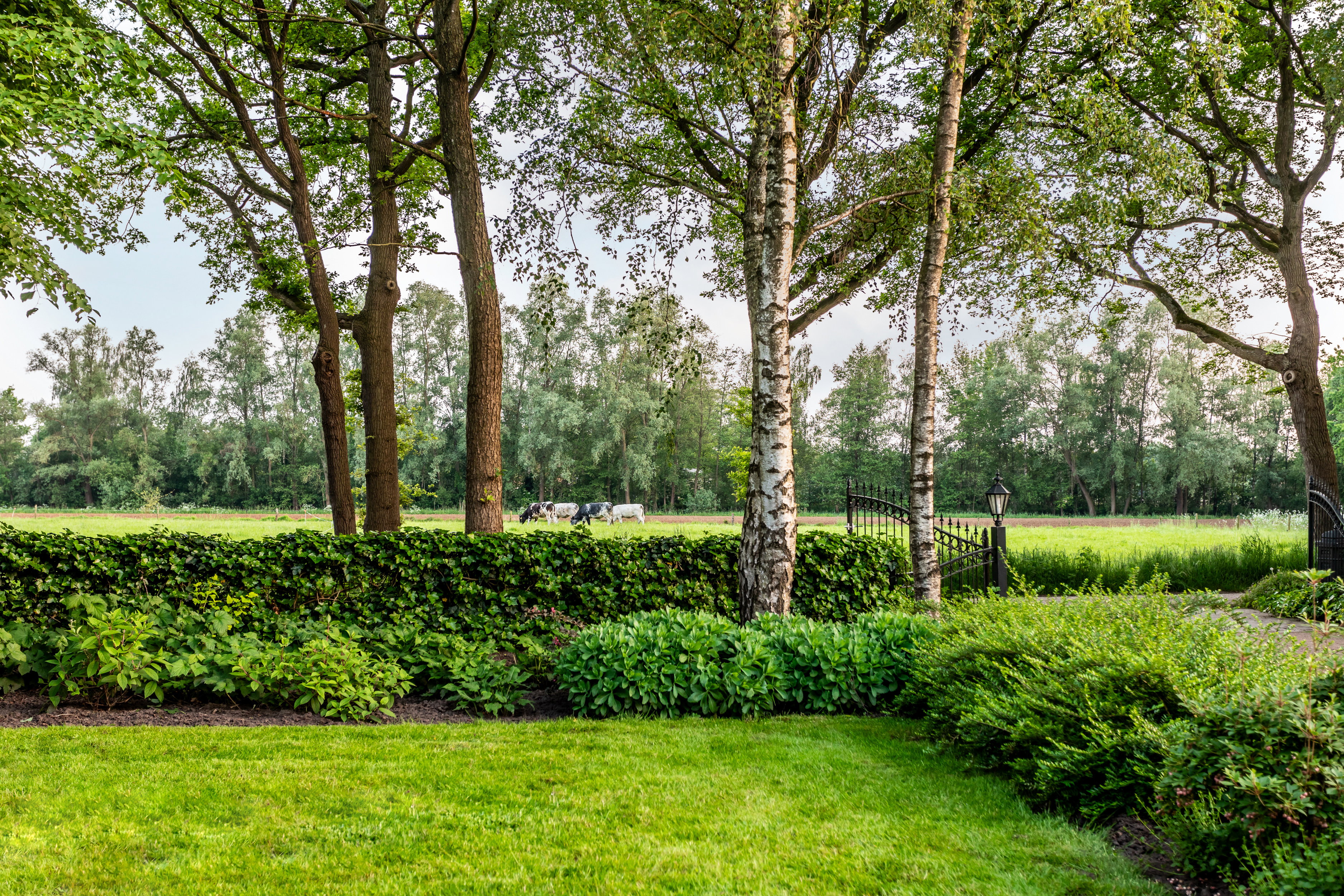 Casa nella natura a Winterswijk