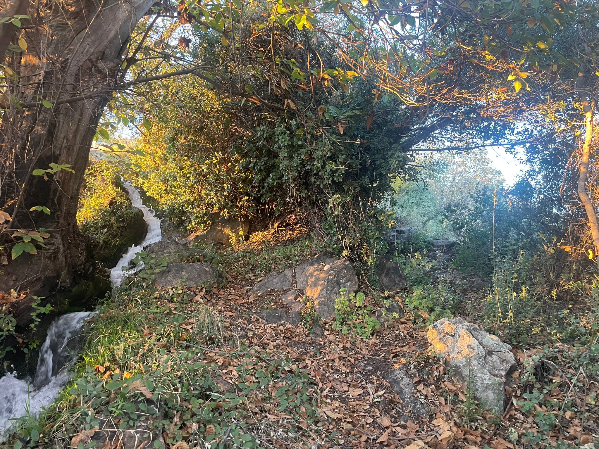 Natuurhuisje in Pampaneira