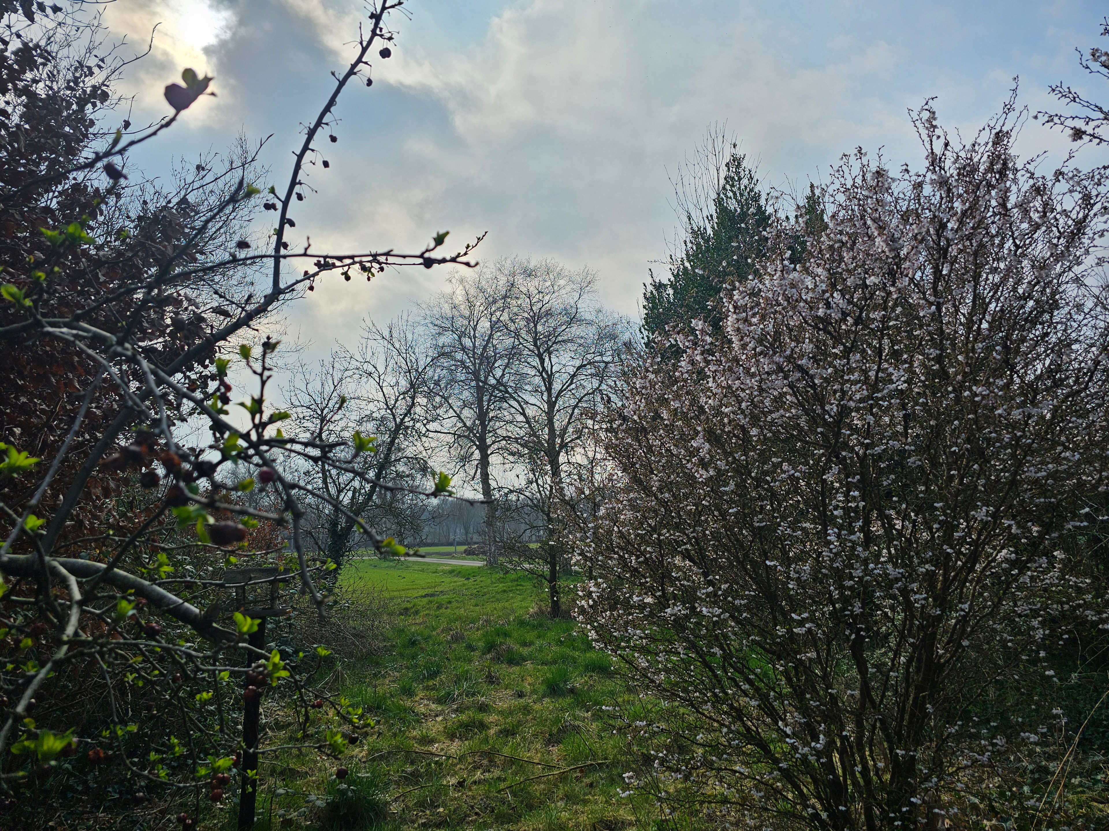 - image: 11