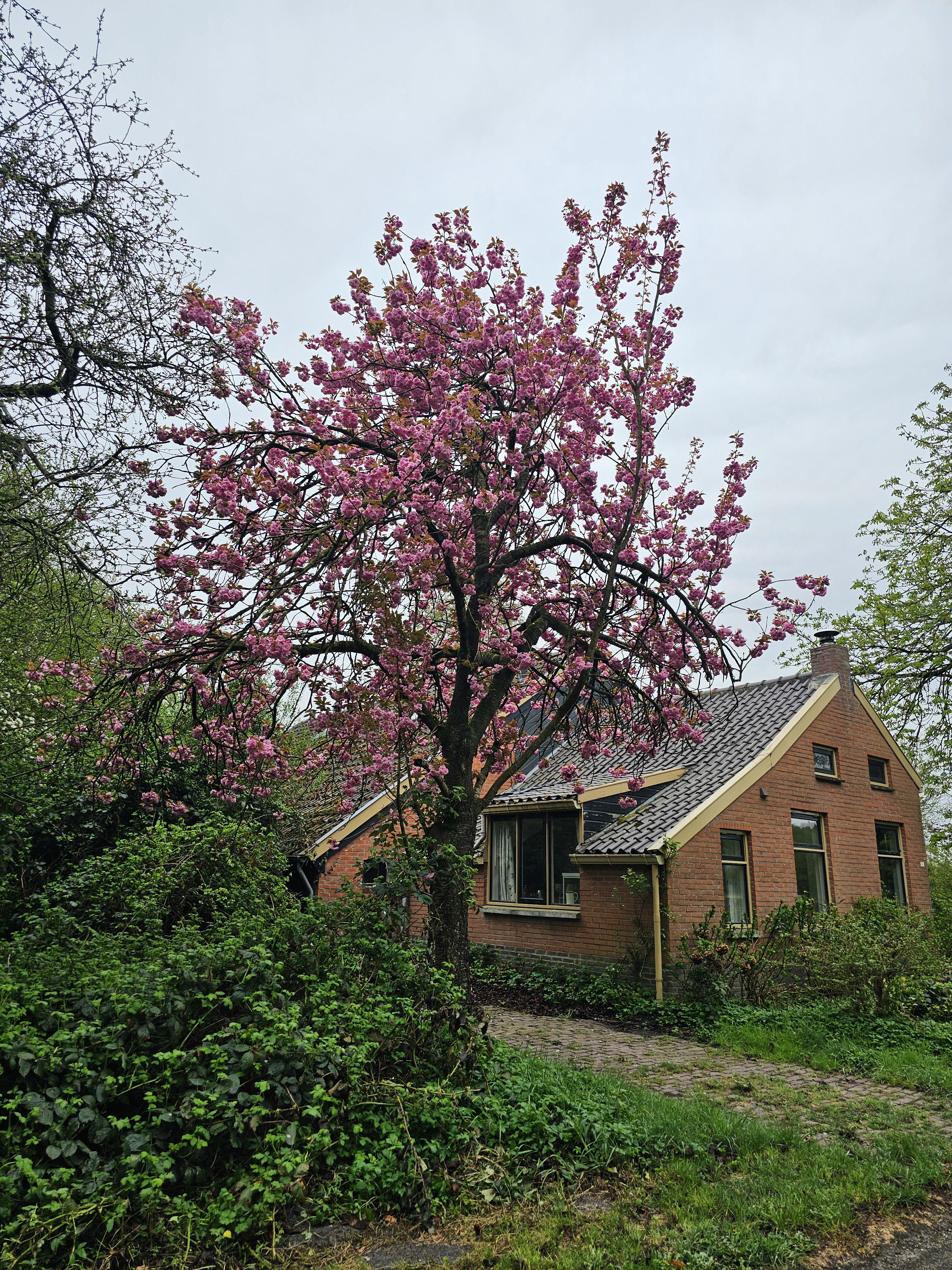 Nature house in Bellingwolde