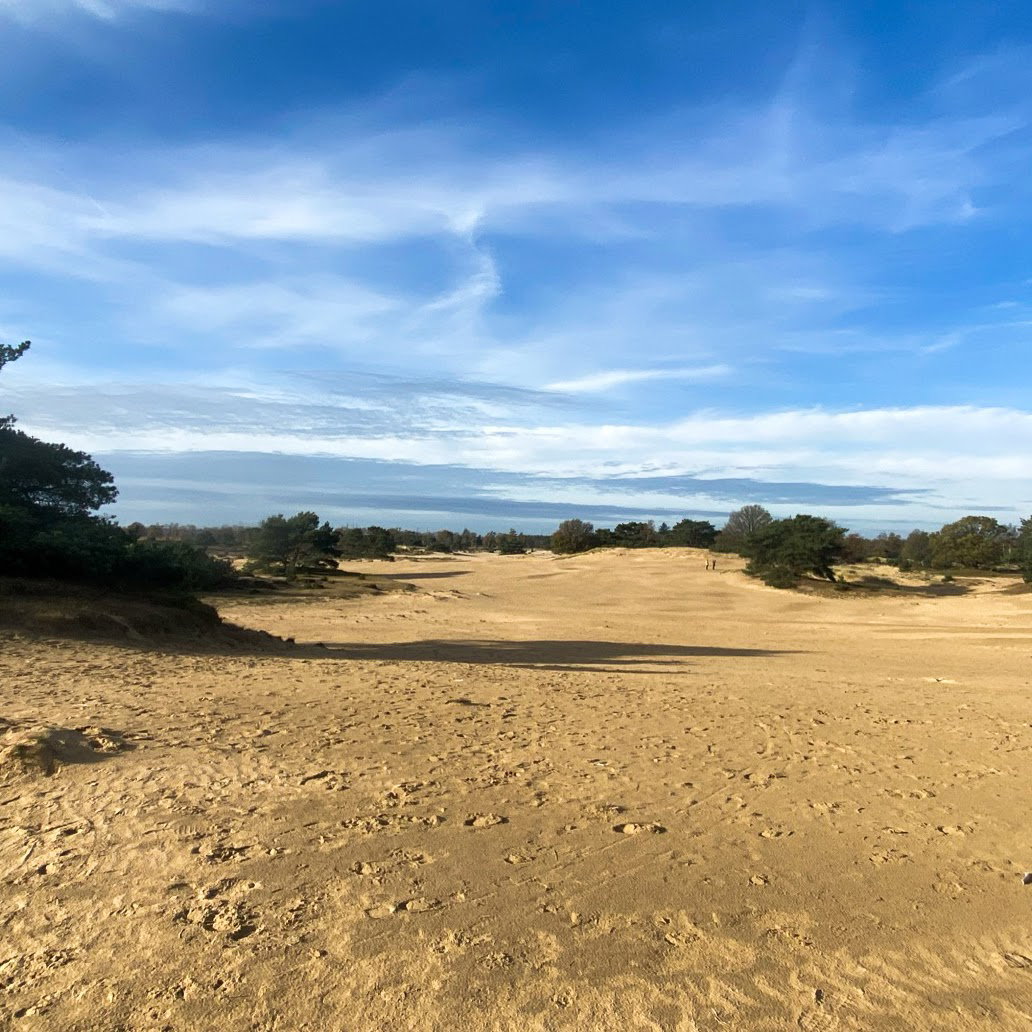 Natuurhuisje in Appelscha