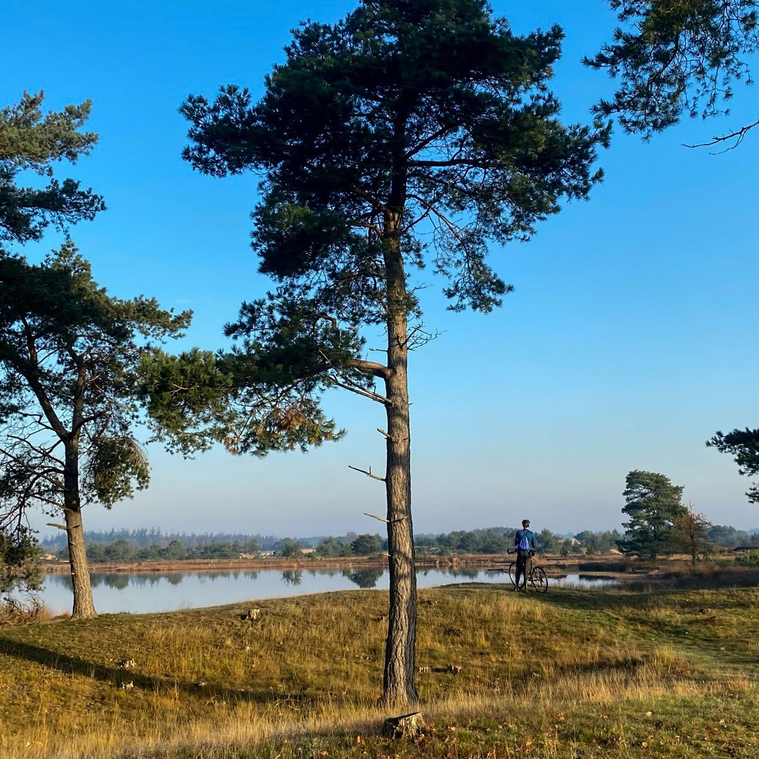 Natuurhuisje in Appelscha