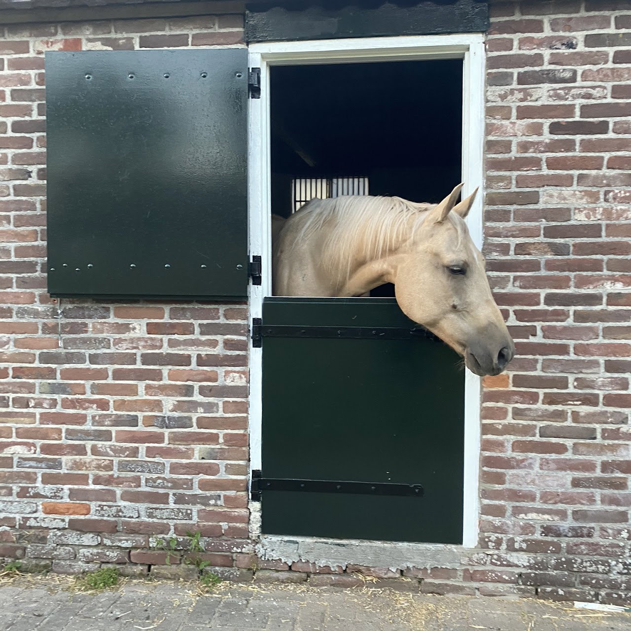 Natuurhuisje in Appelscha