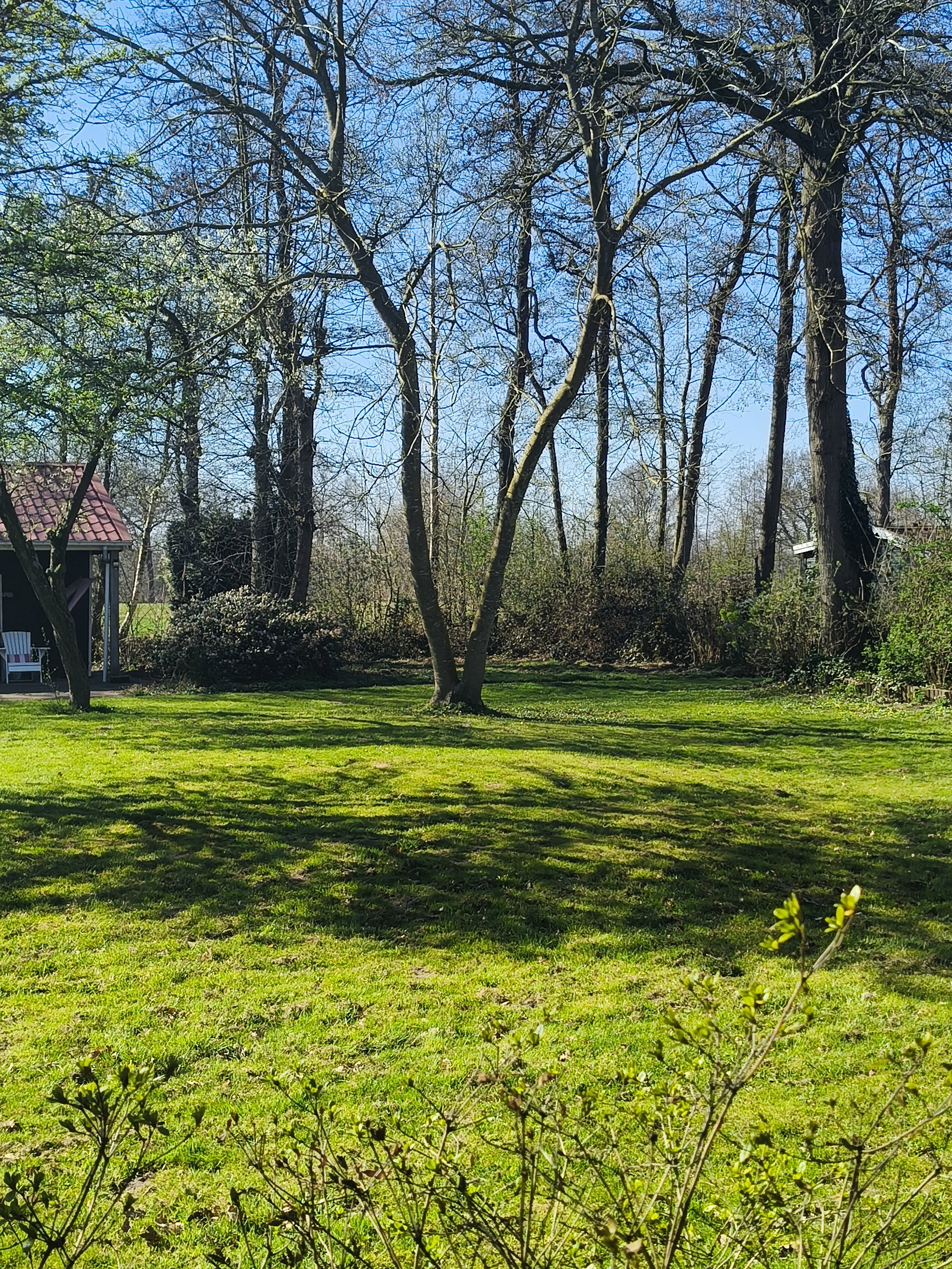 Casa nella natura a Kollumerzwaag