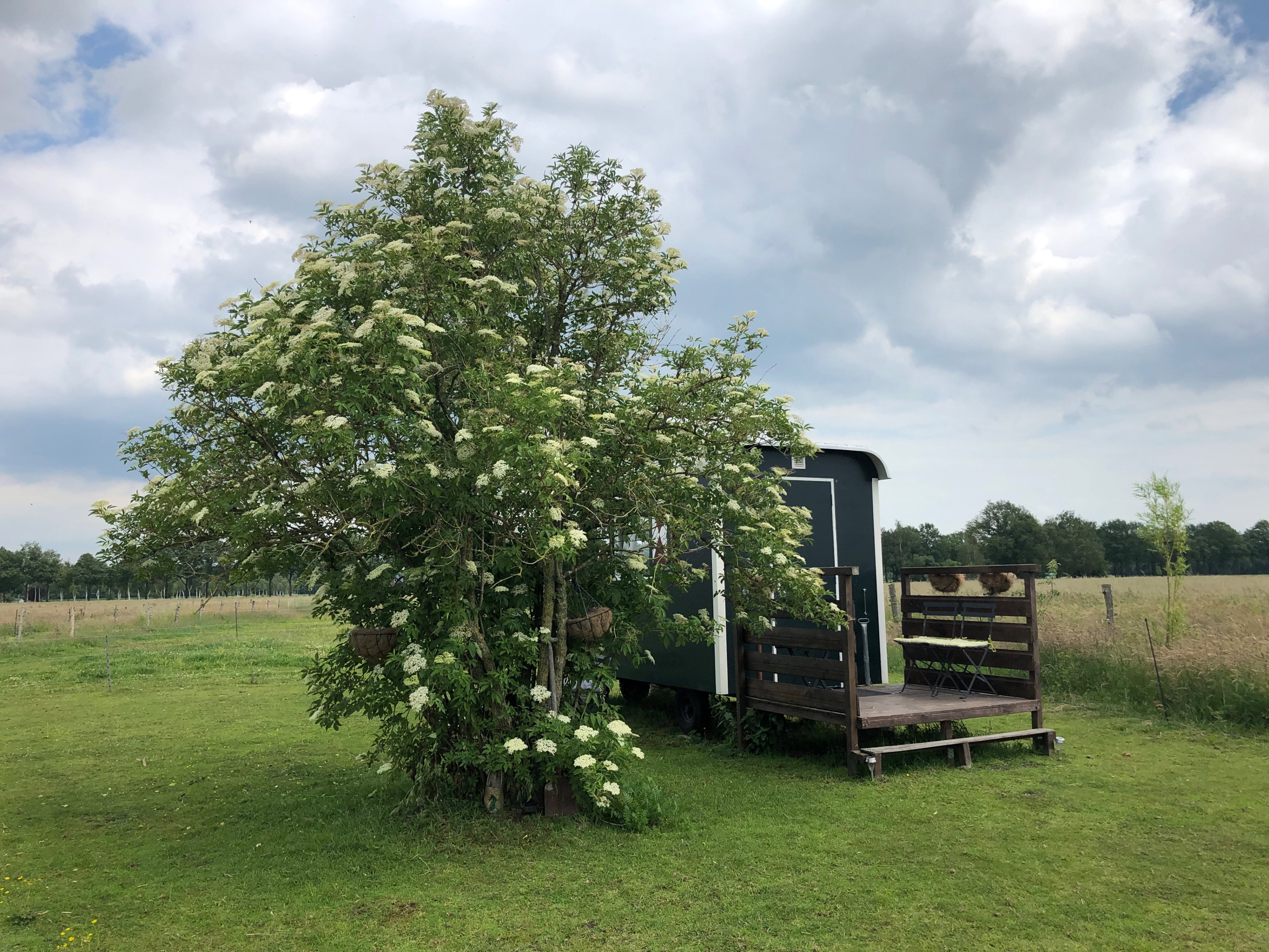 Natuurhuisje in Wenum Wiesel