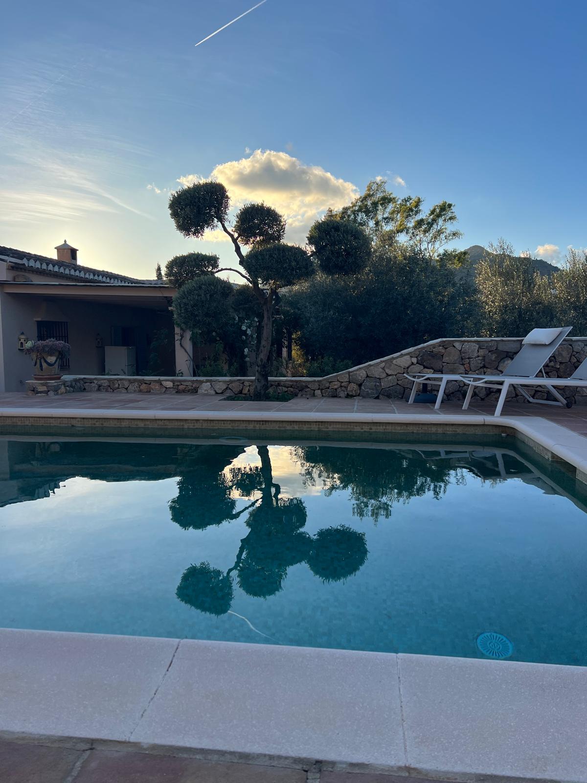 - image: 14