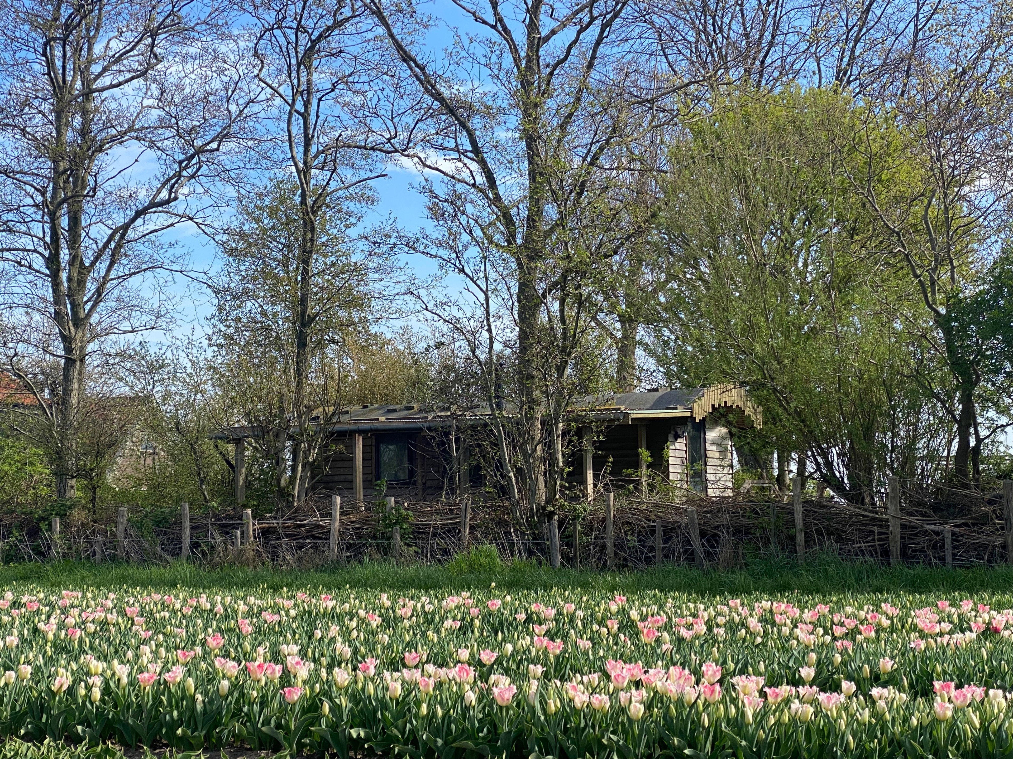 Natuurhuisje in Schagen/Haringhuizen