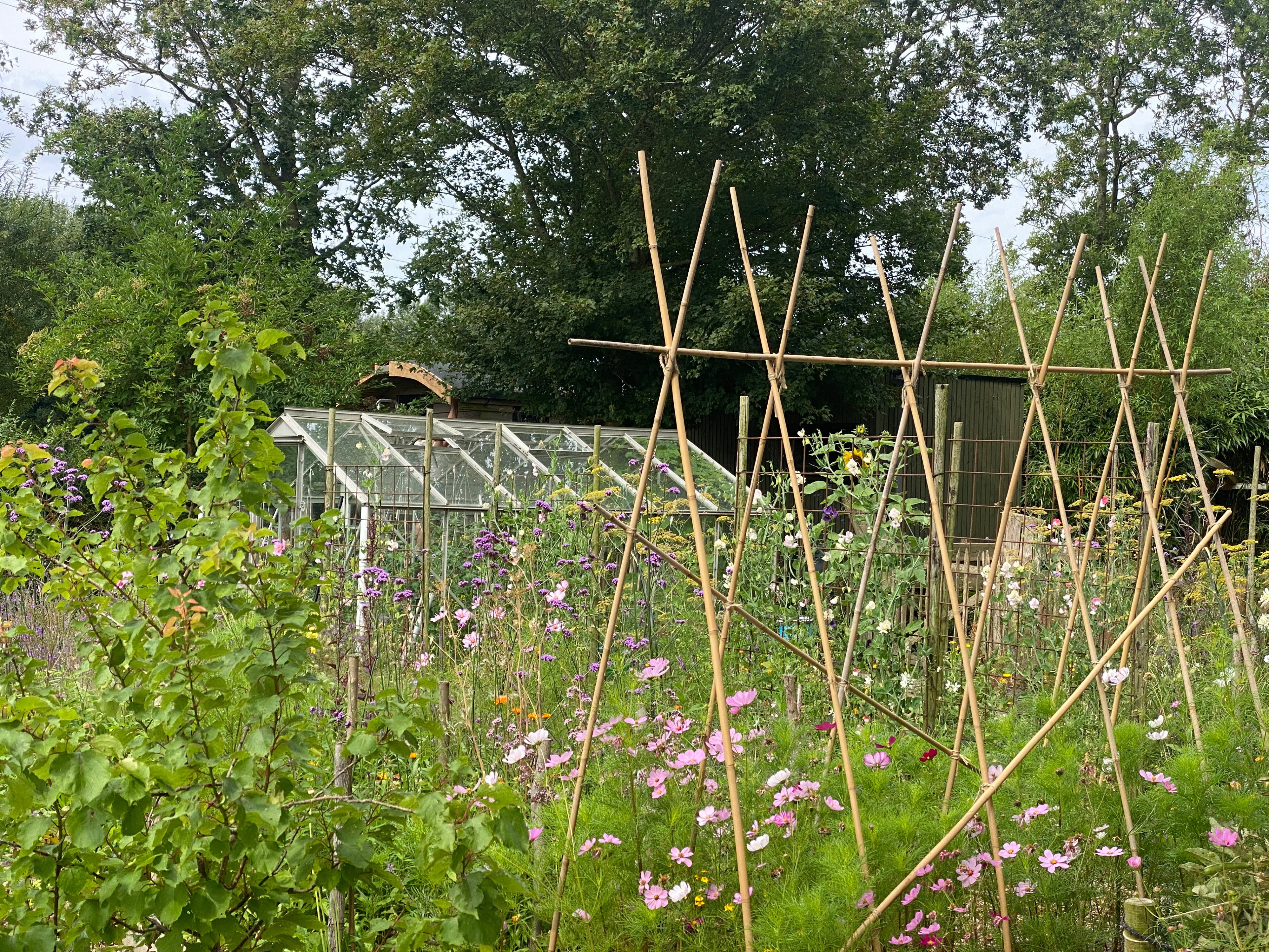 Natuurhuisje in Schagen/Haringhuizen