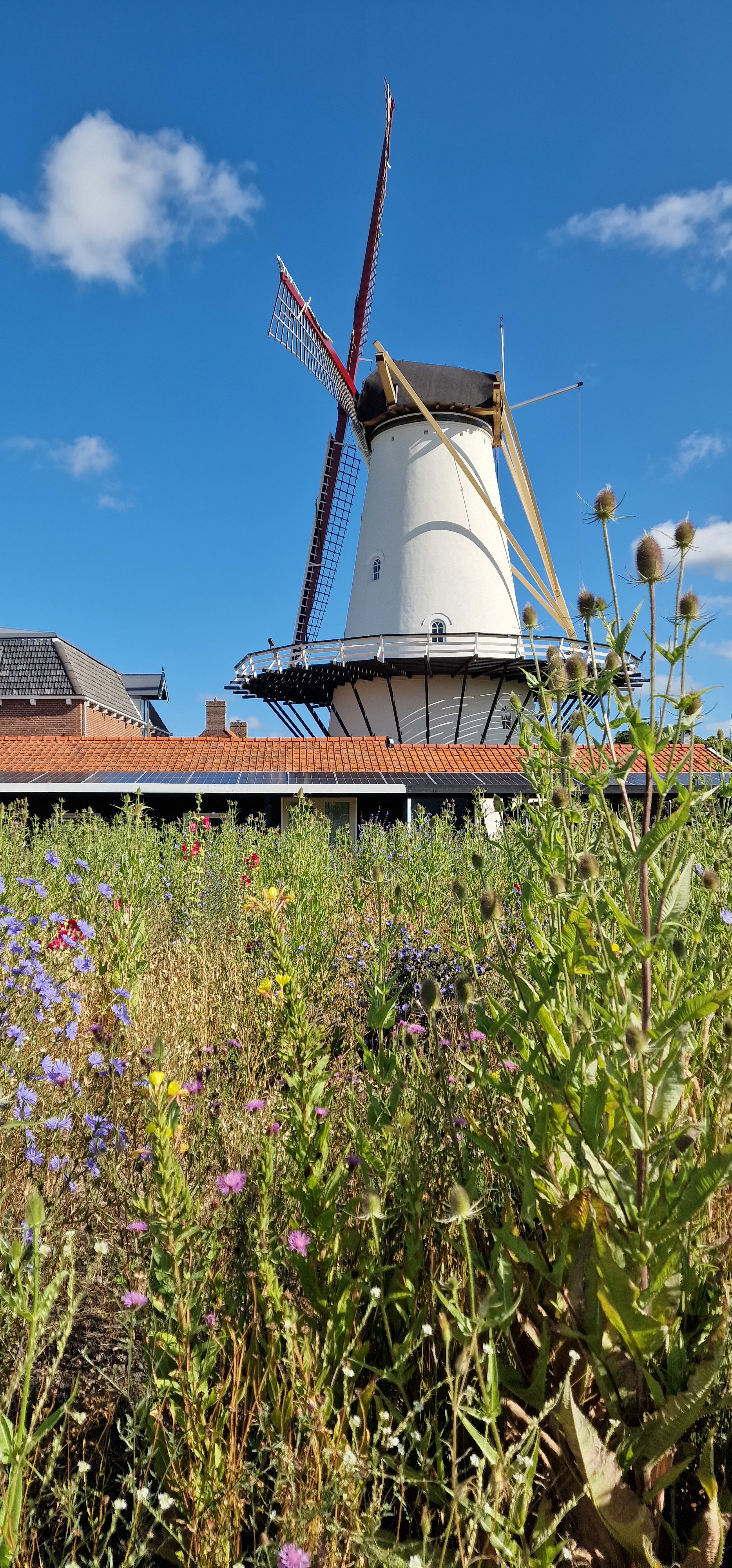 Casa nella natura a Koudekerke