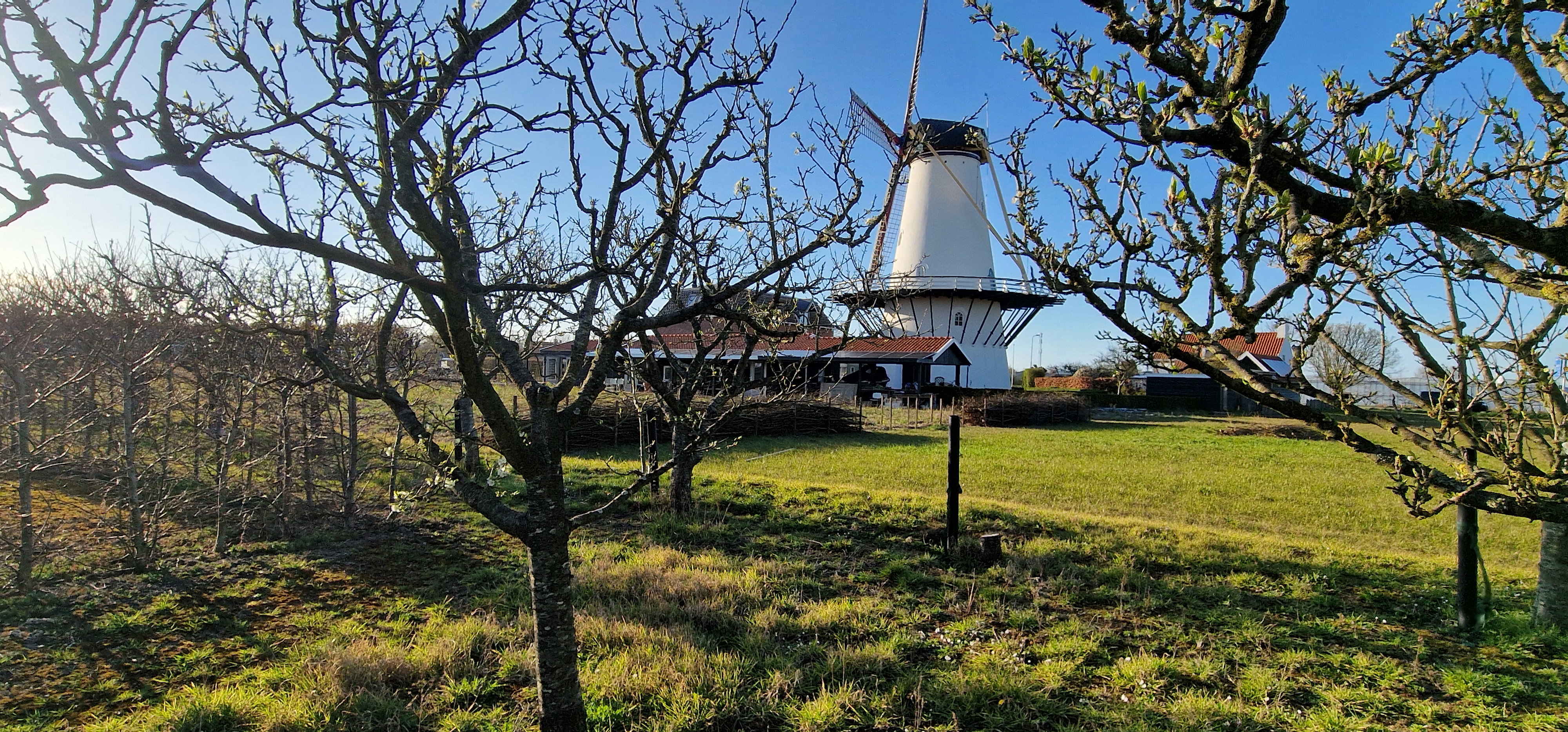 Casa nella natura a Koudekerke