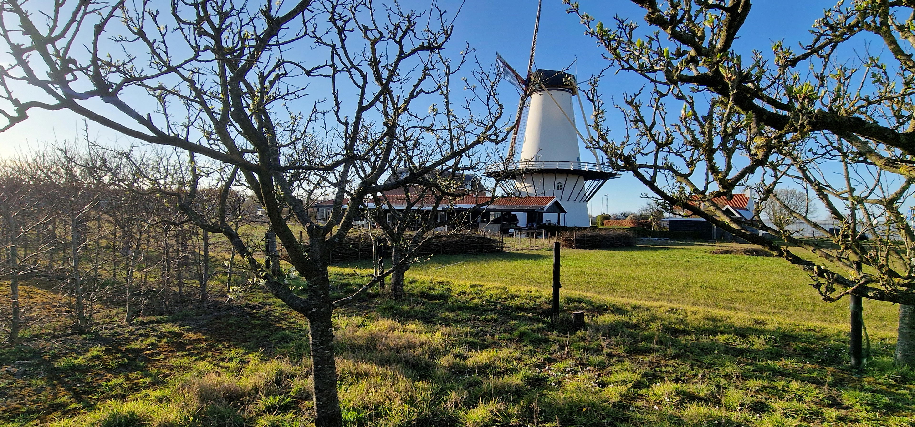 Nature house in Koudekerke