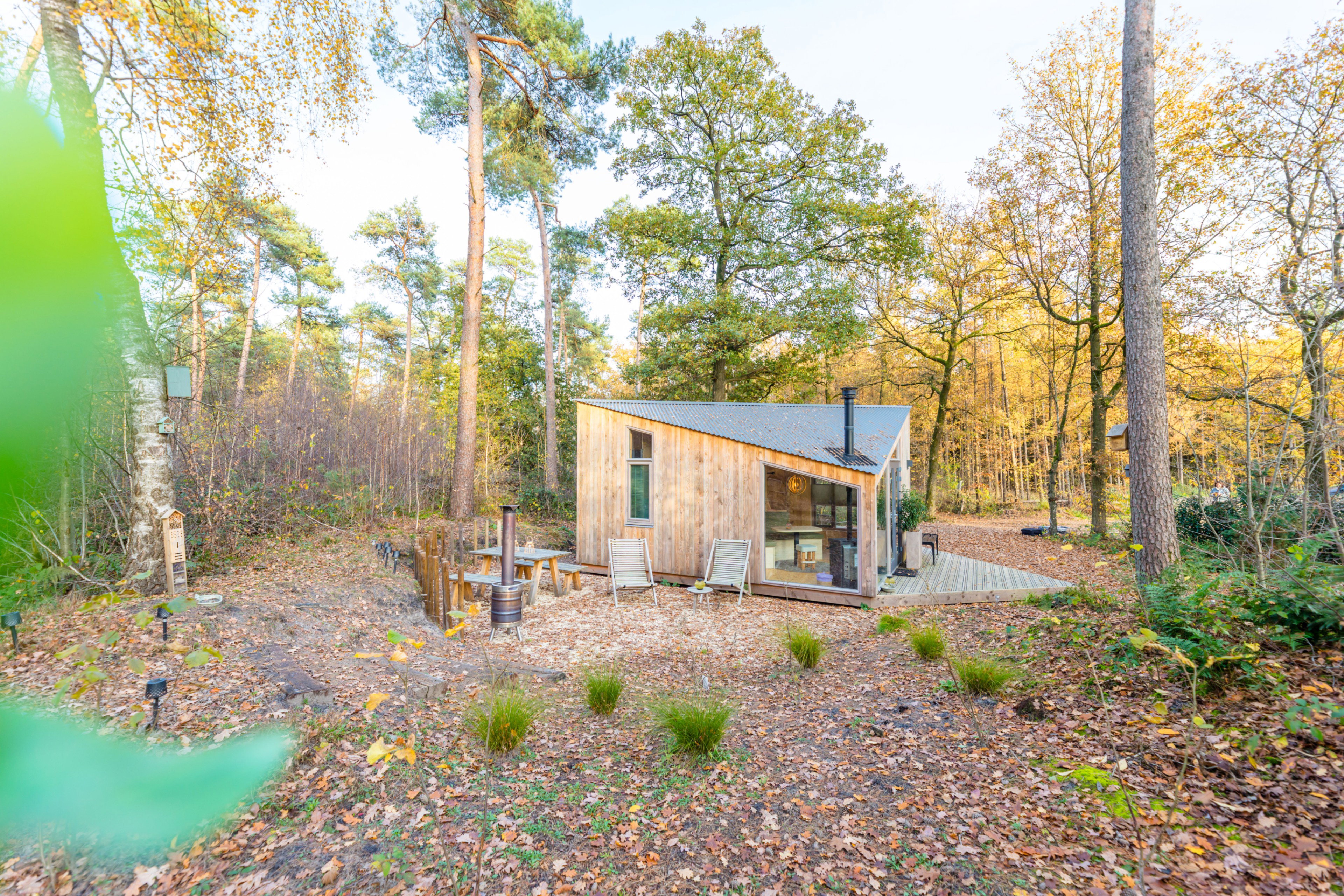 Natuurhuisje in de Lutte