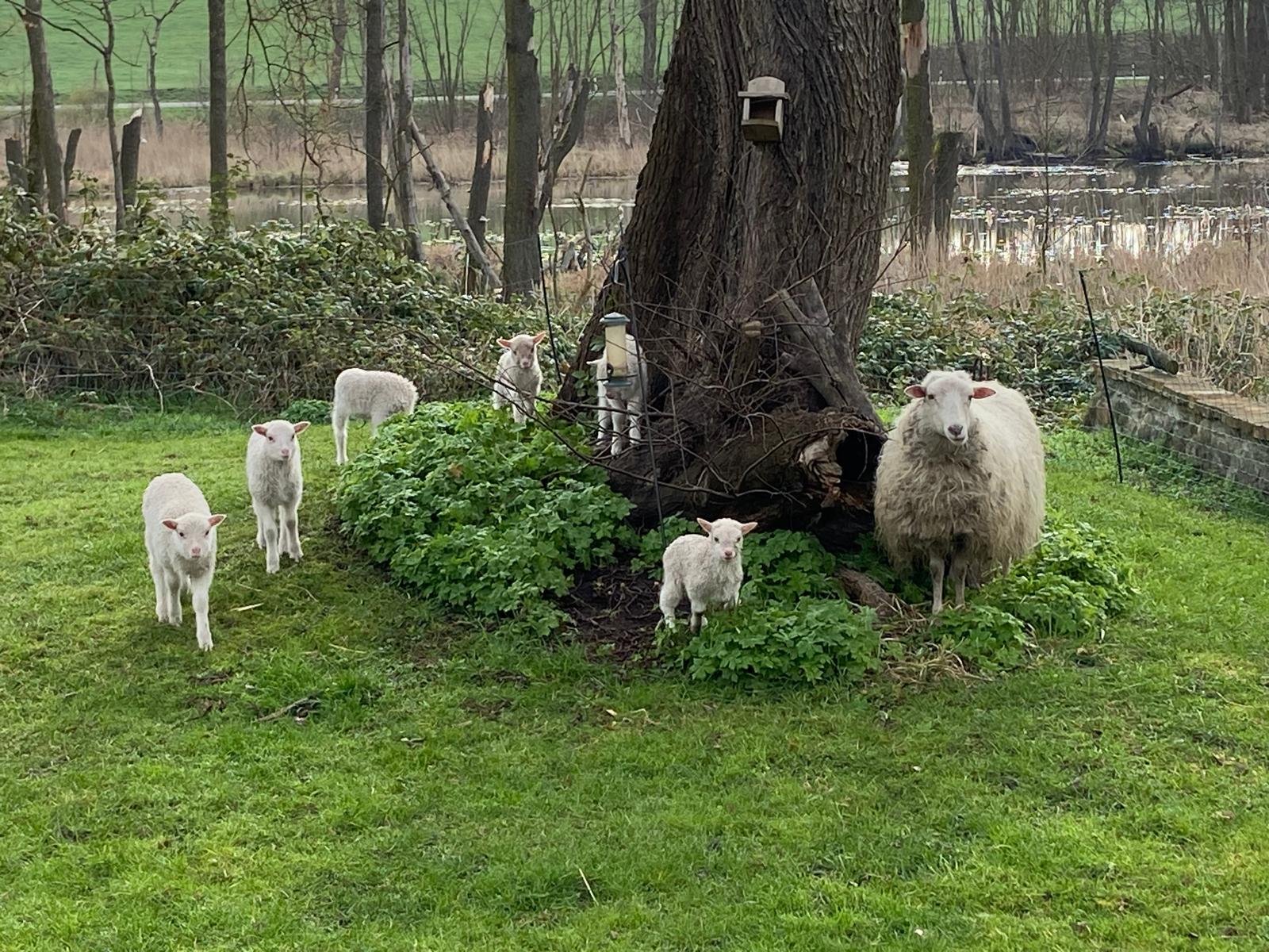 Naturhäuschen in Prötzel OT Prädikow