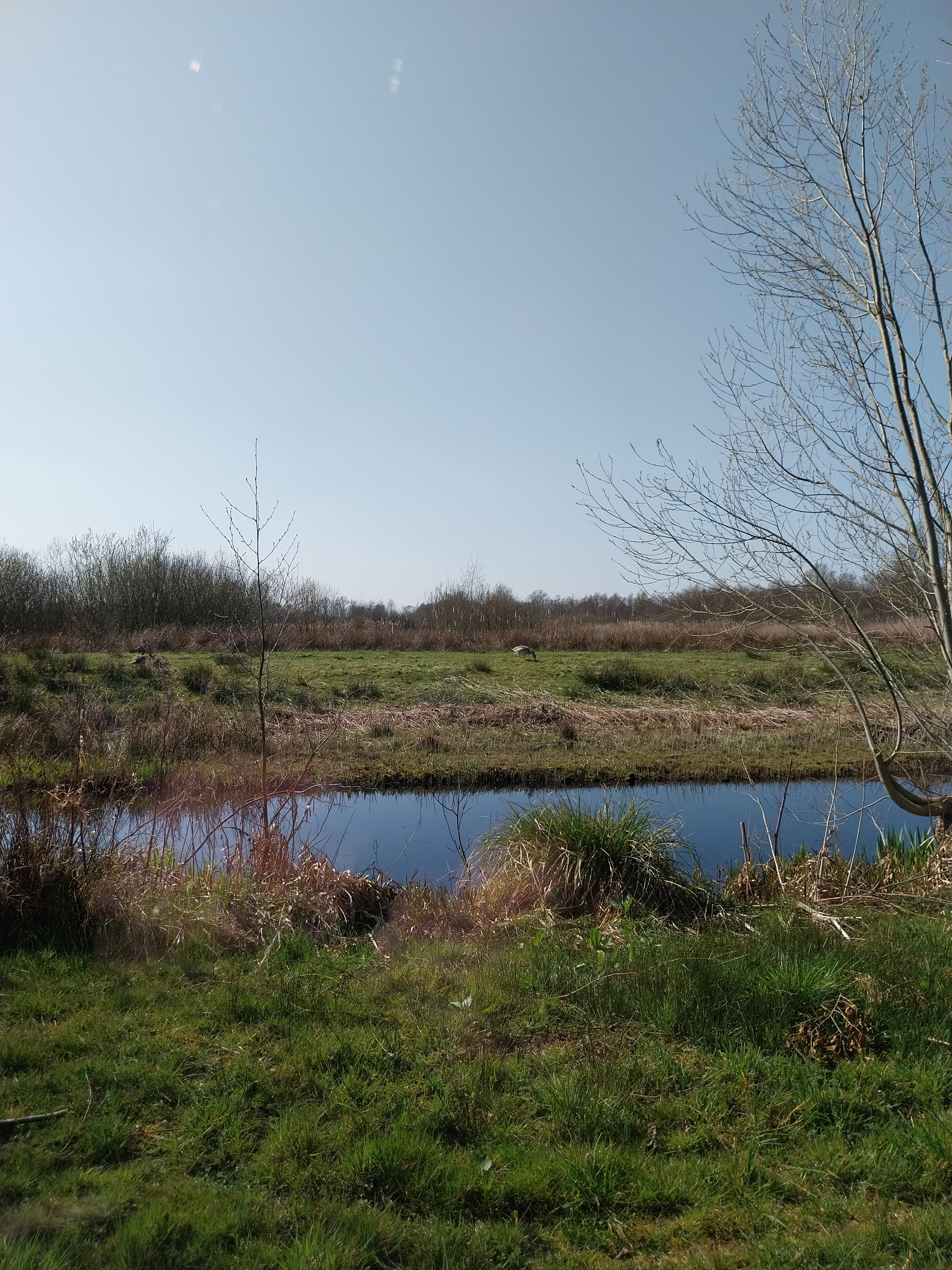 Casa nella natura a Oudega