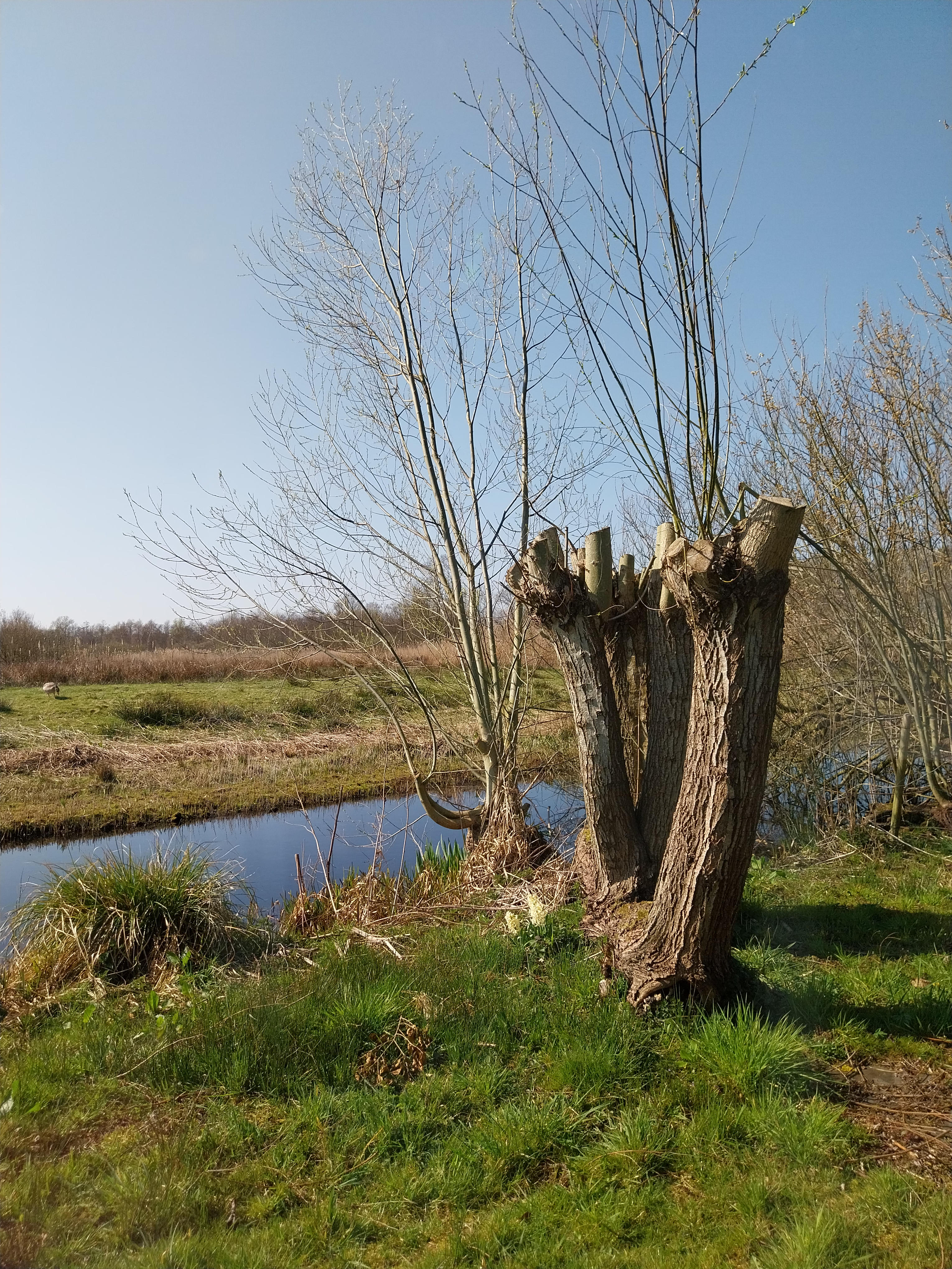 Casa nella natura a Oudega