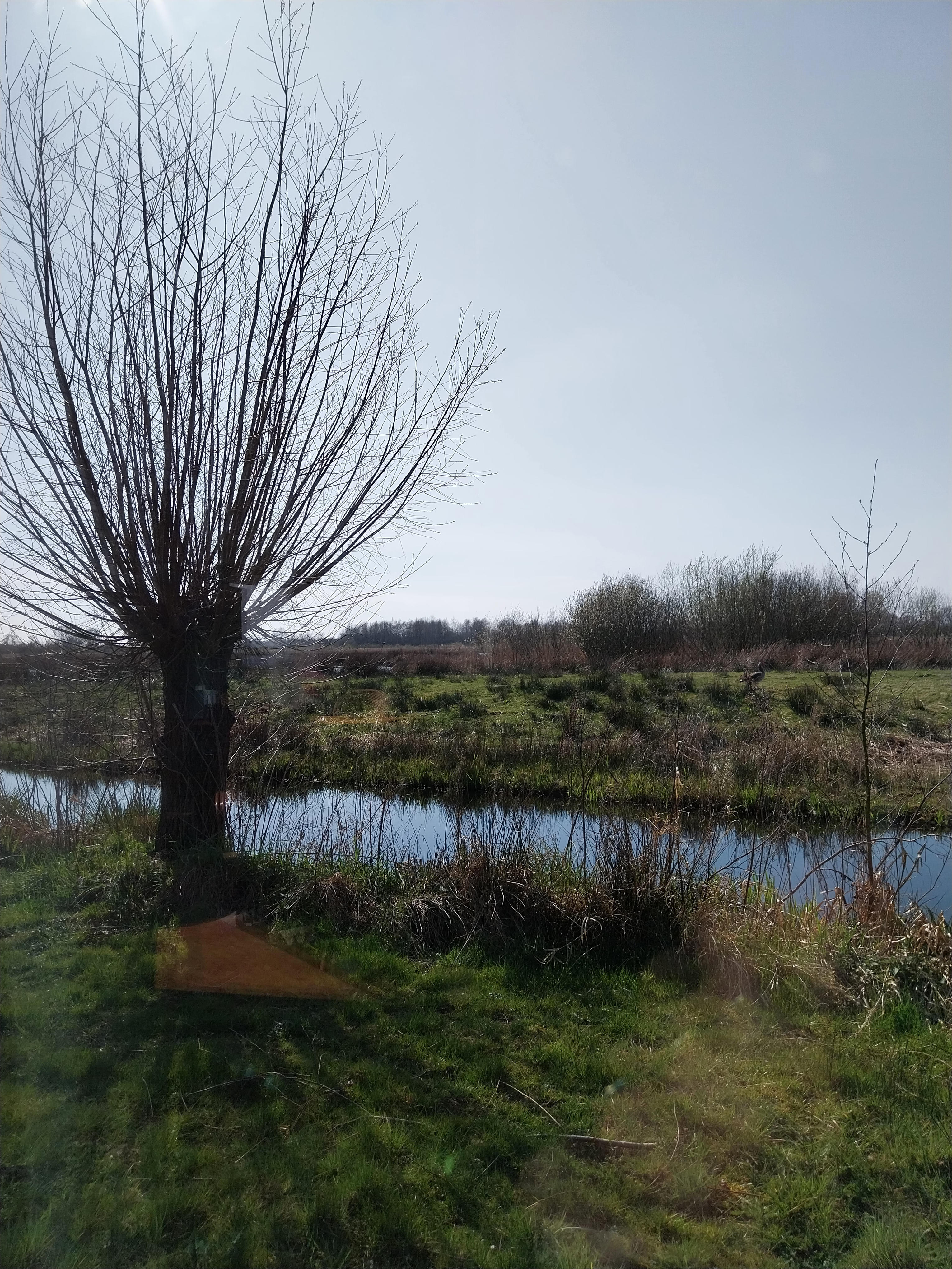 Casa nella natura a Oudega