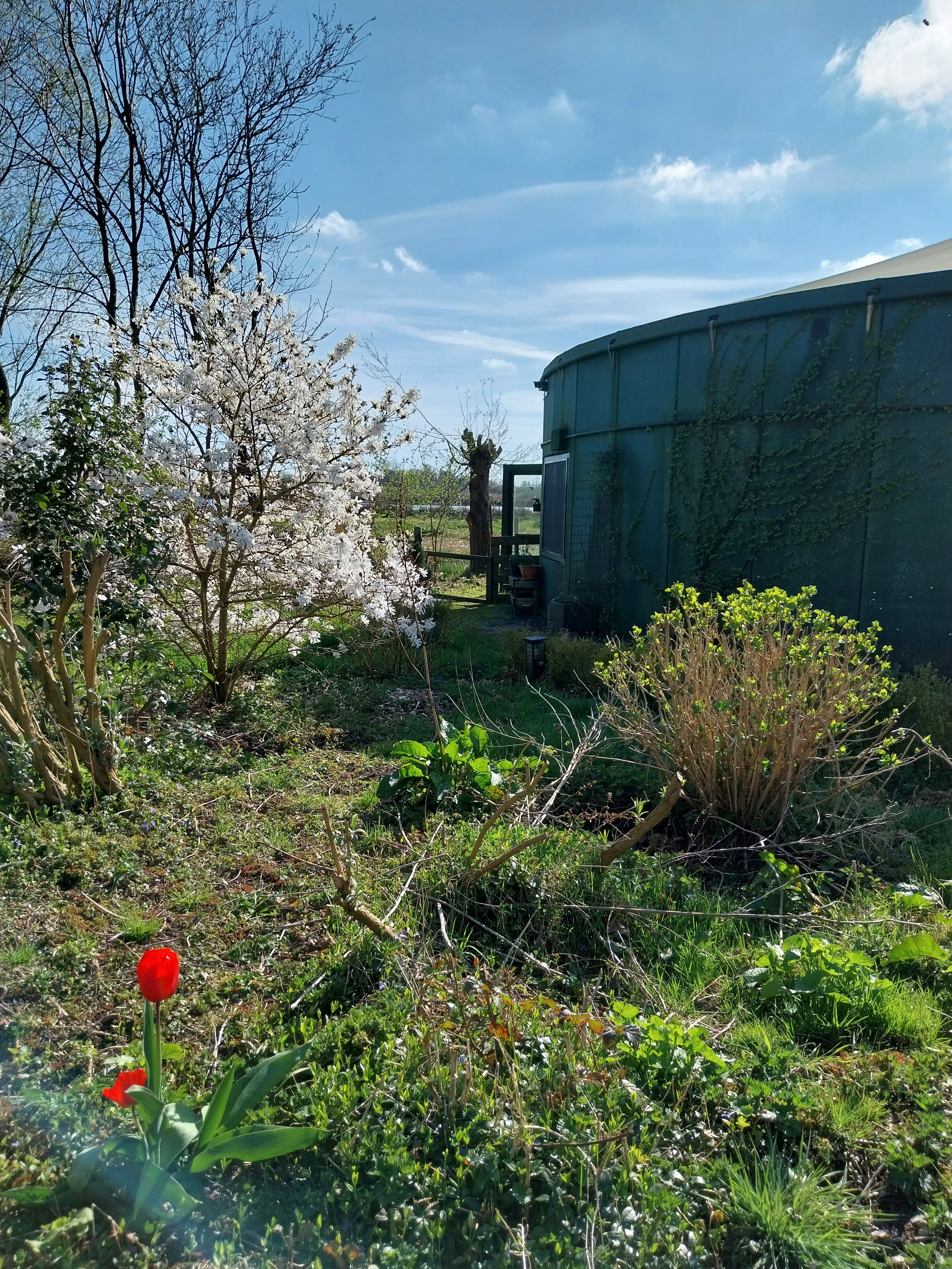 Casa nella natura a Oudega