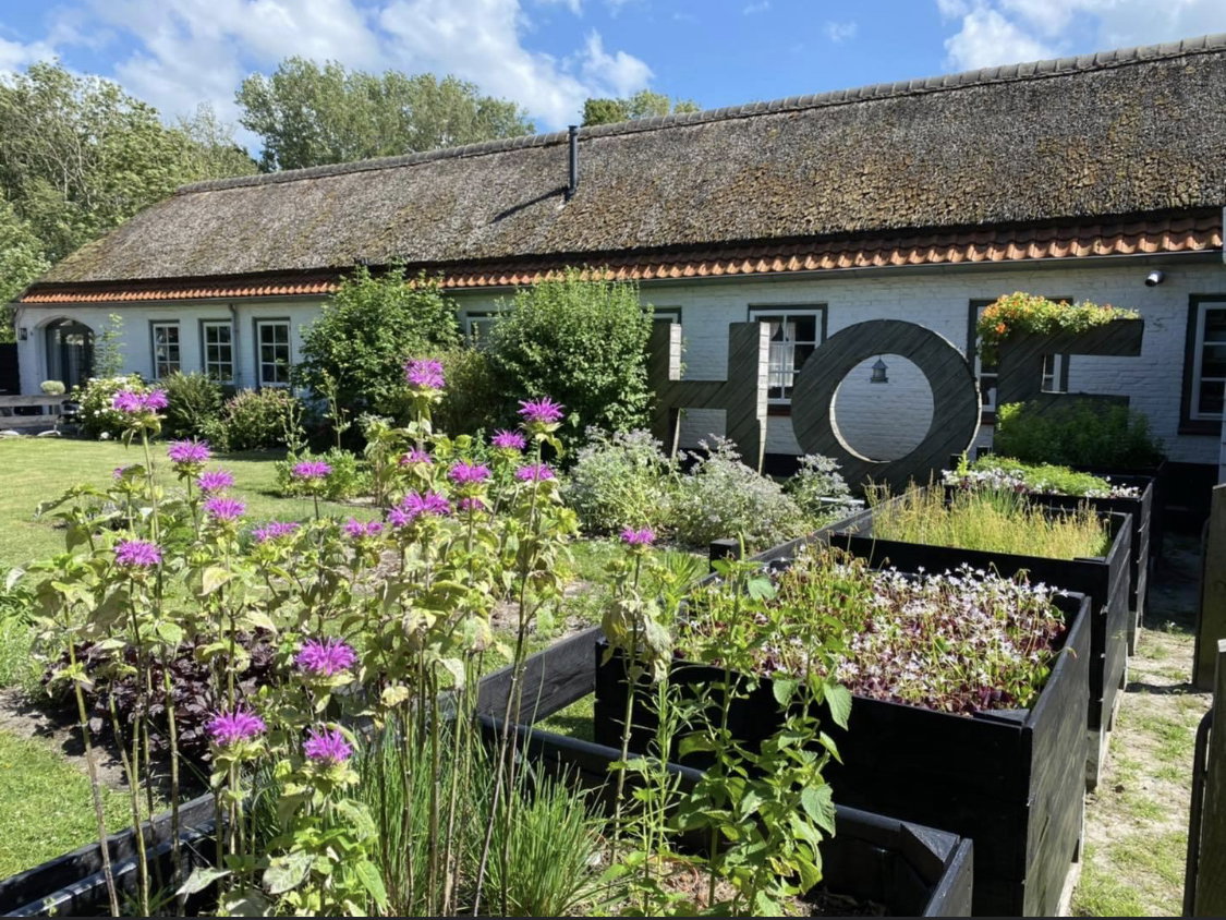 Maison nature à Koudekerke