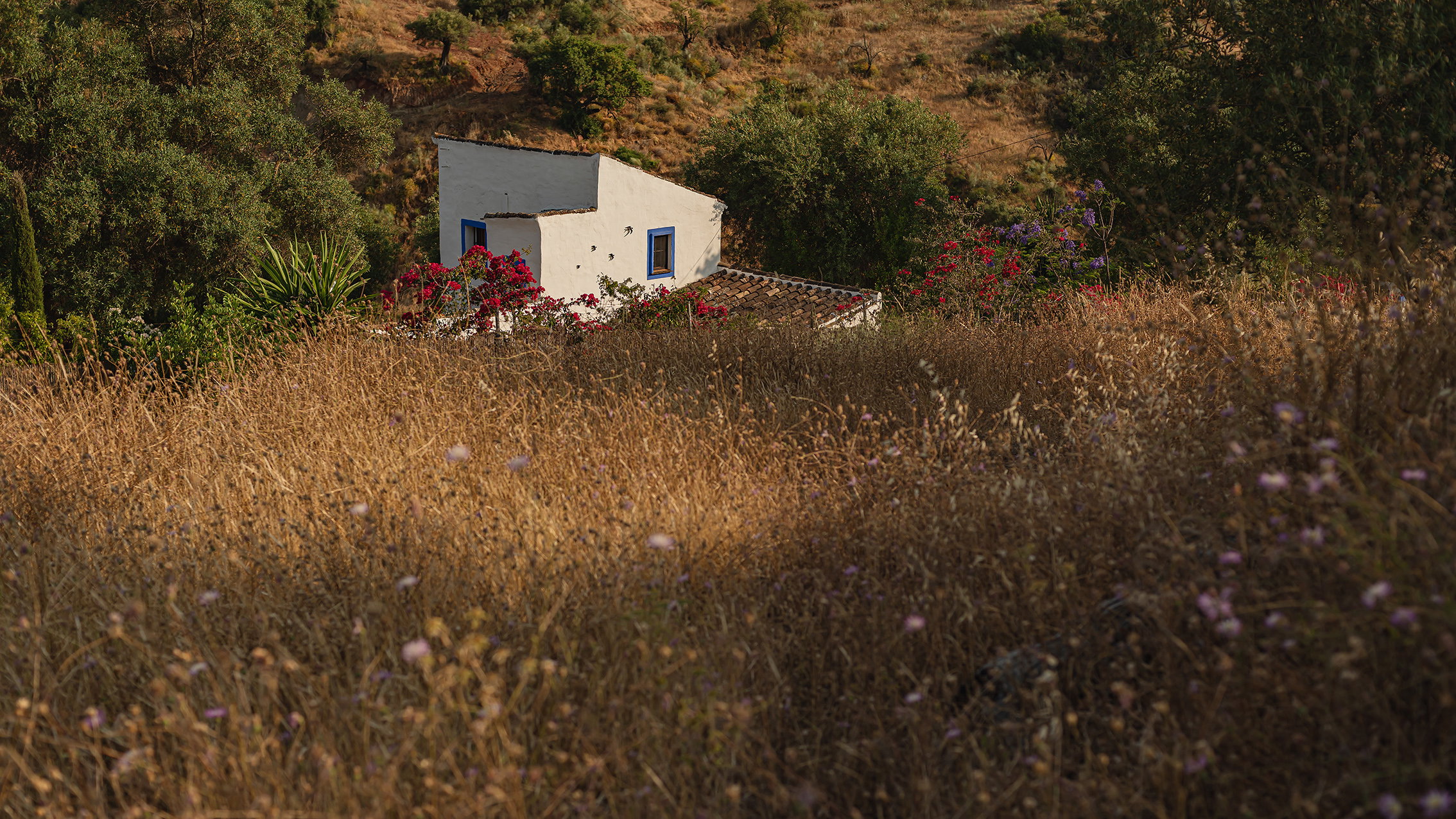 Maison nature à Almogia