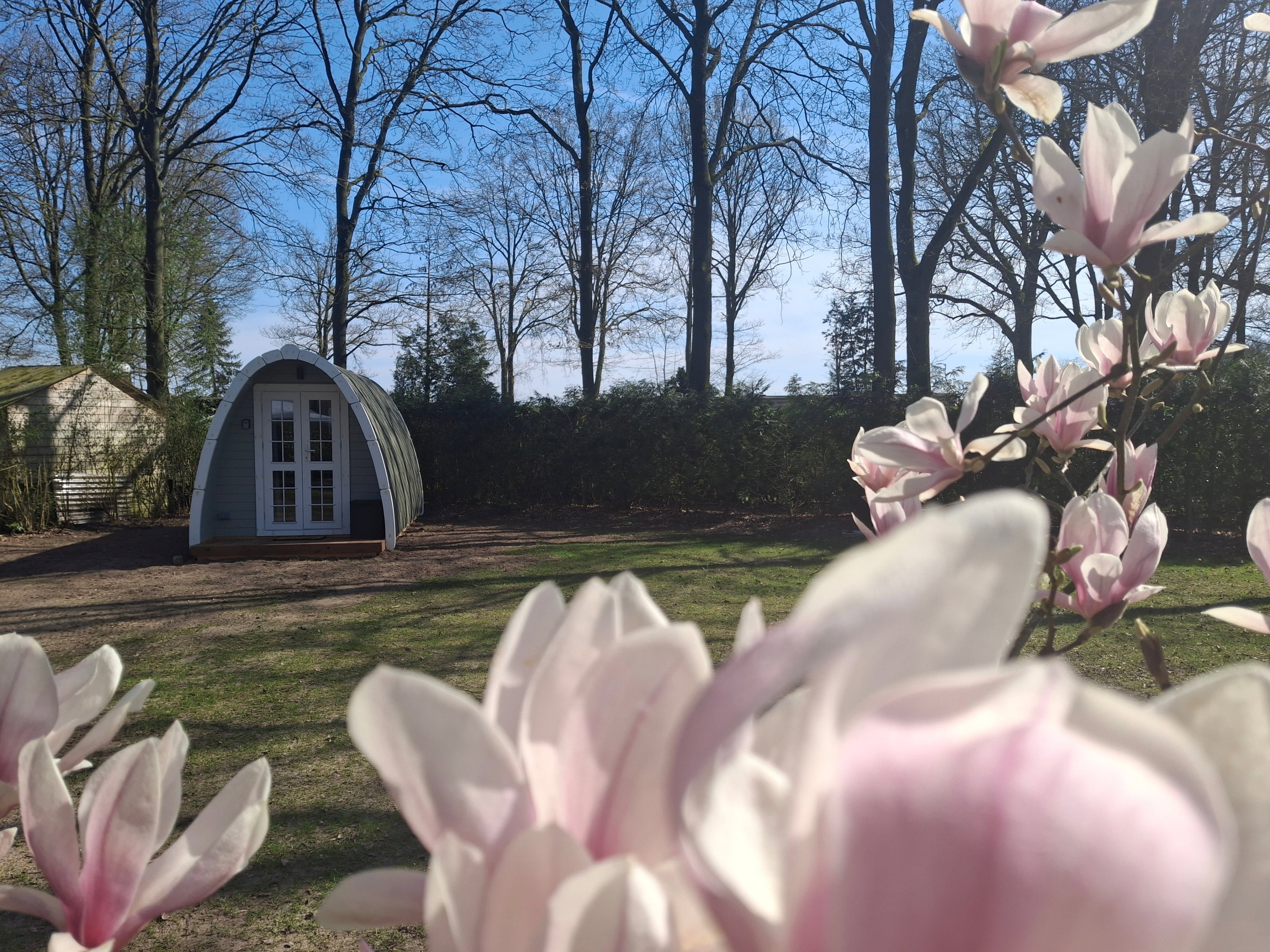 Casa nella natura a Gramsbergen