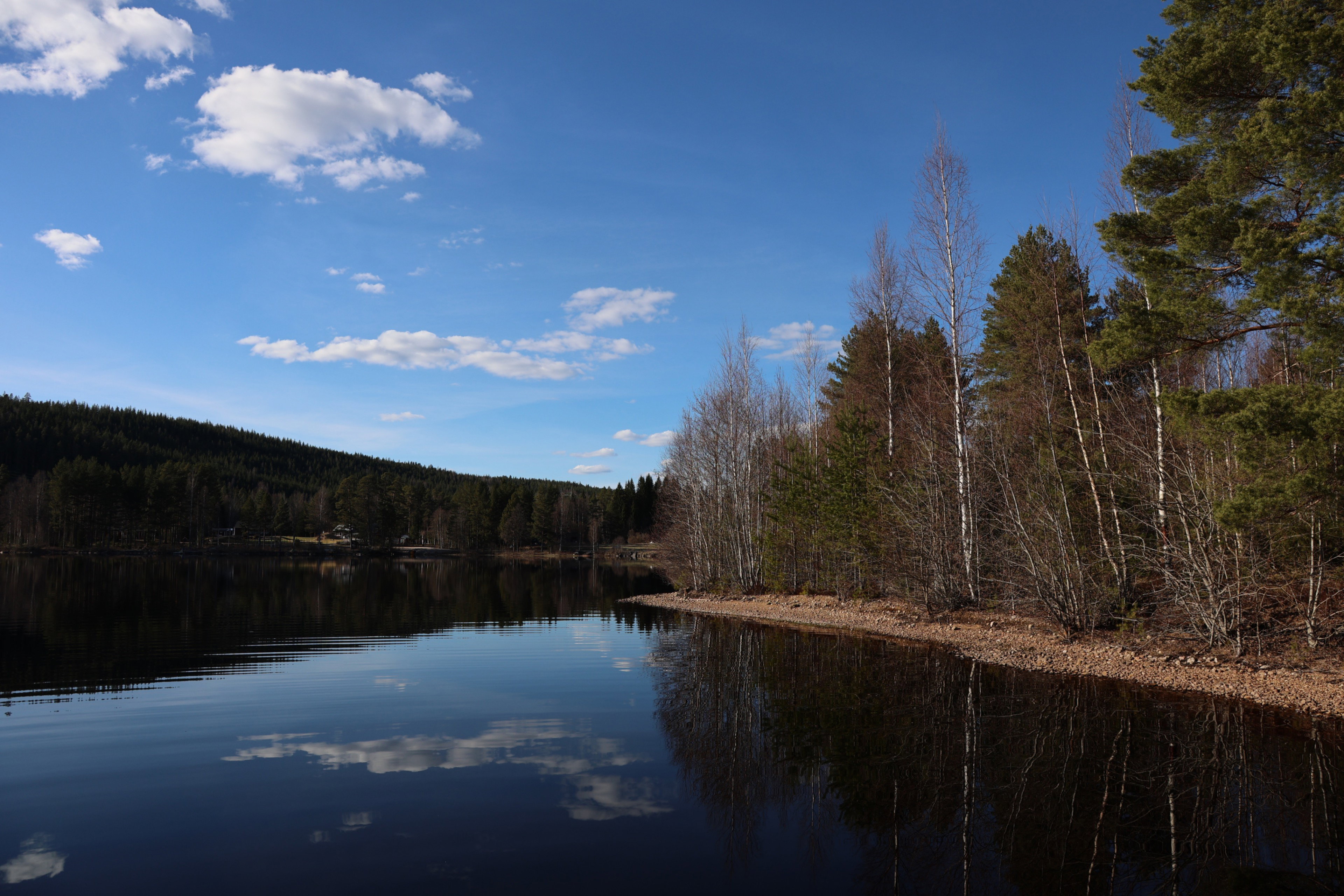 - image: 21