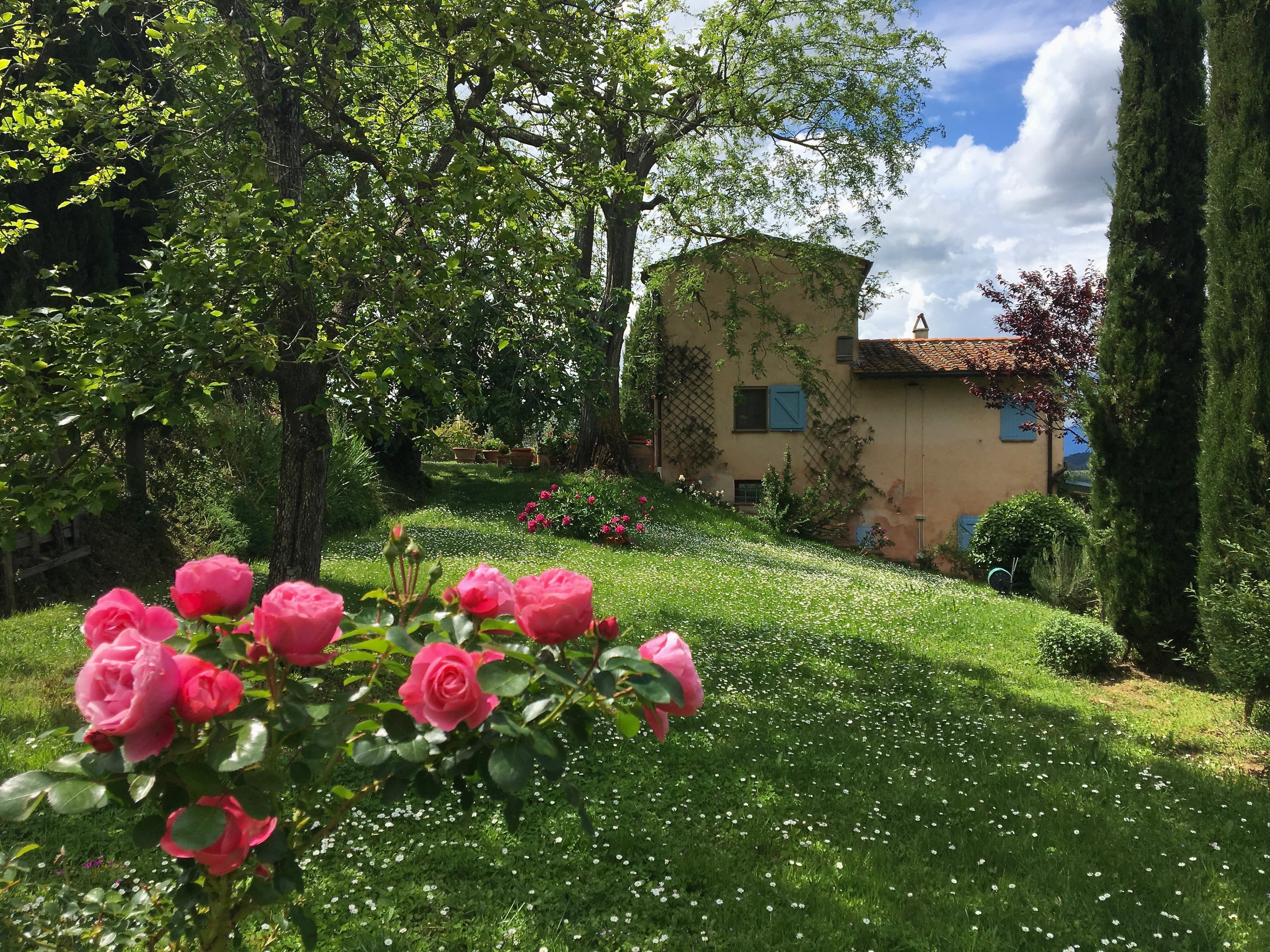 Nature house in Palaia