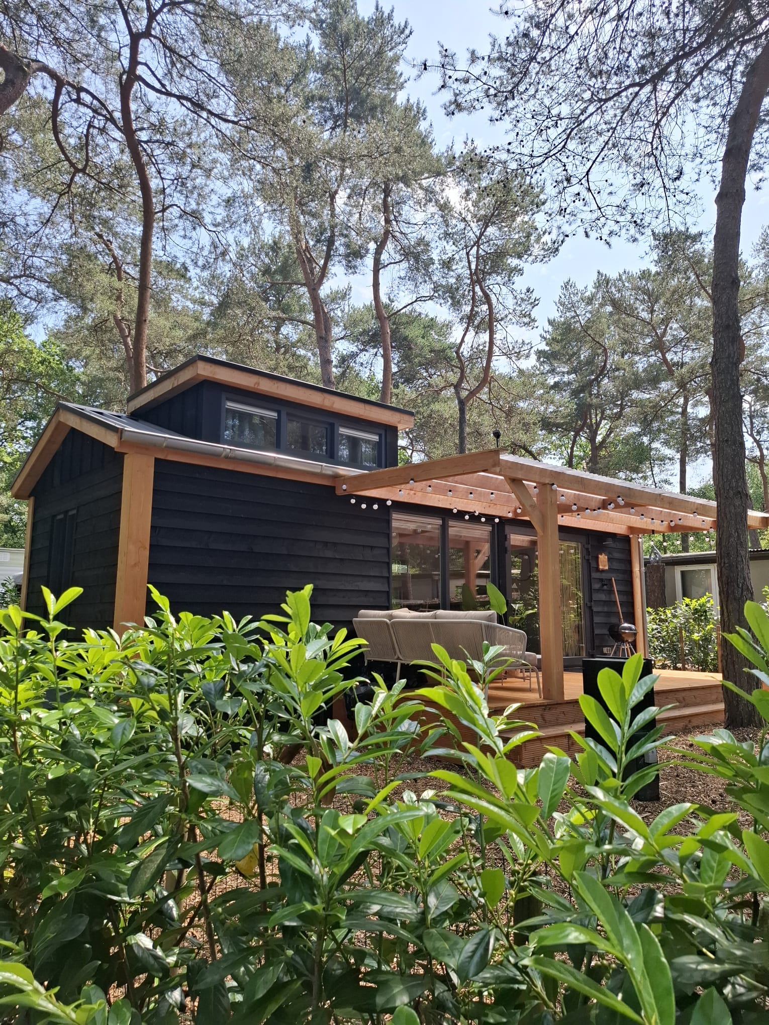 Casa nella natura a Zuidwolde