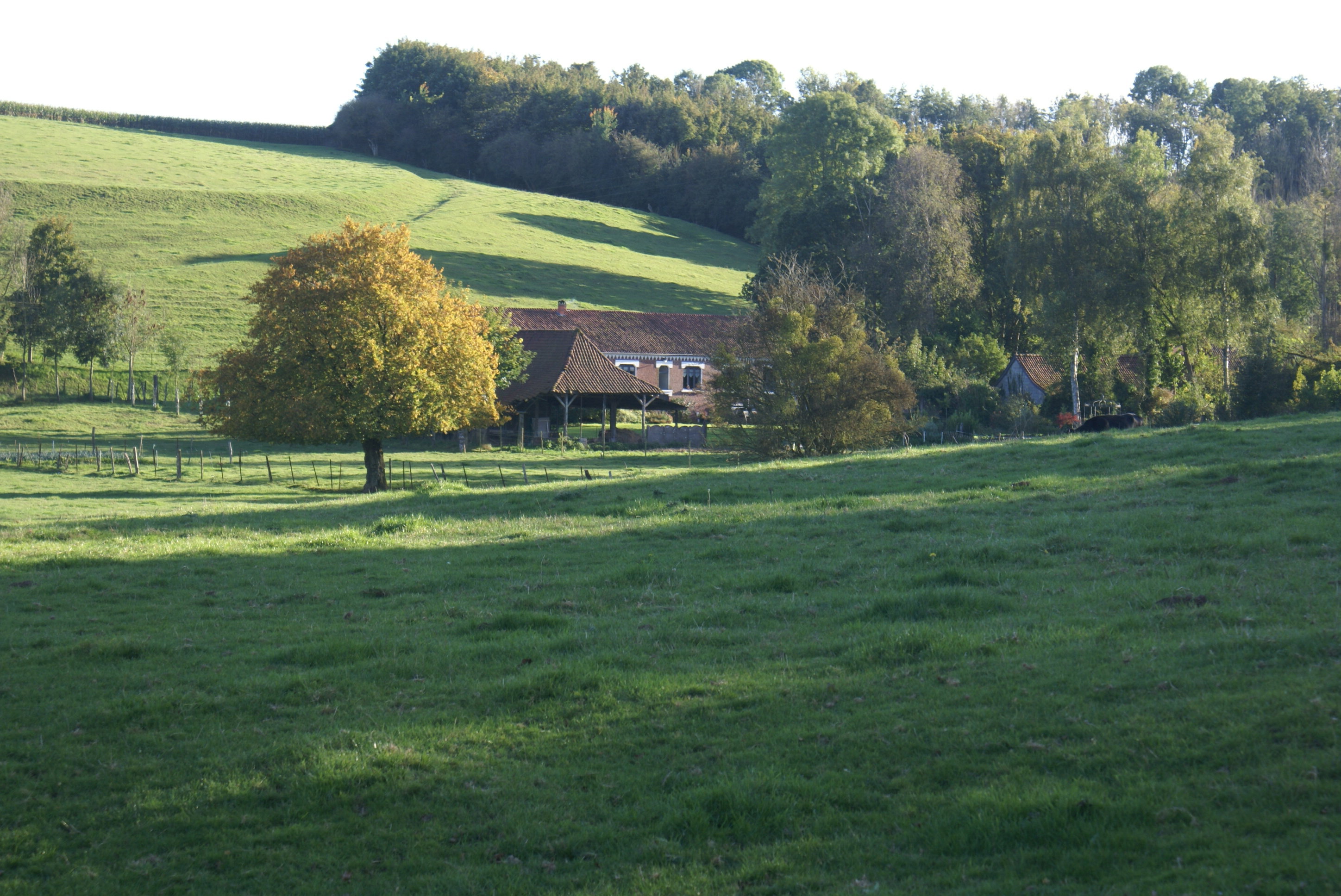 Natuurhuisje in Ponches-Estruval
