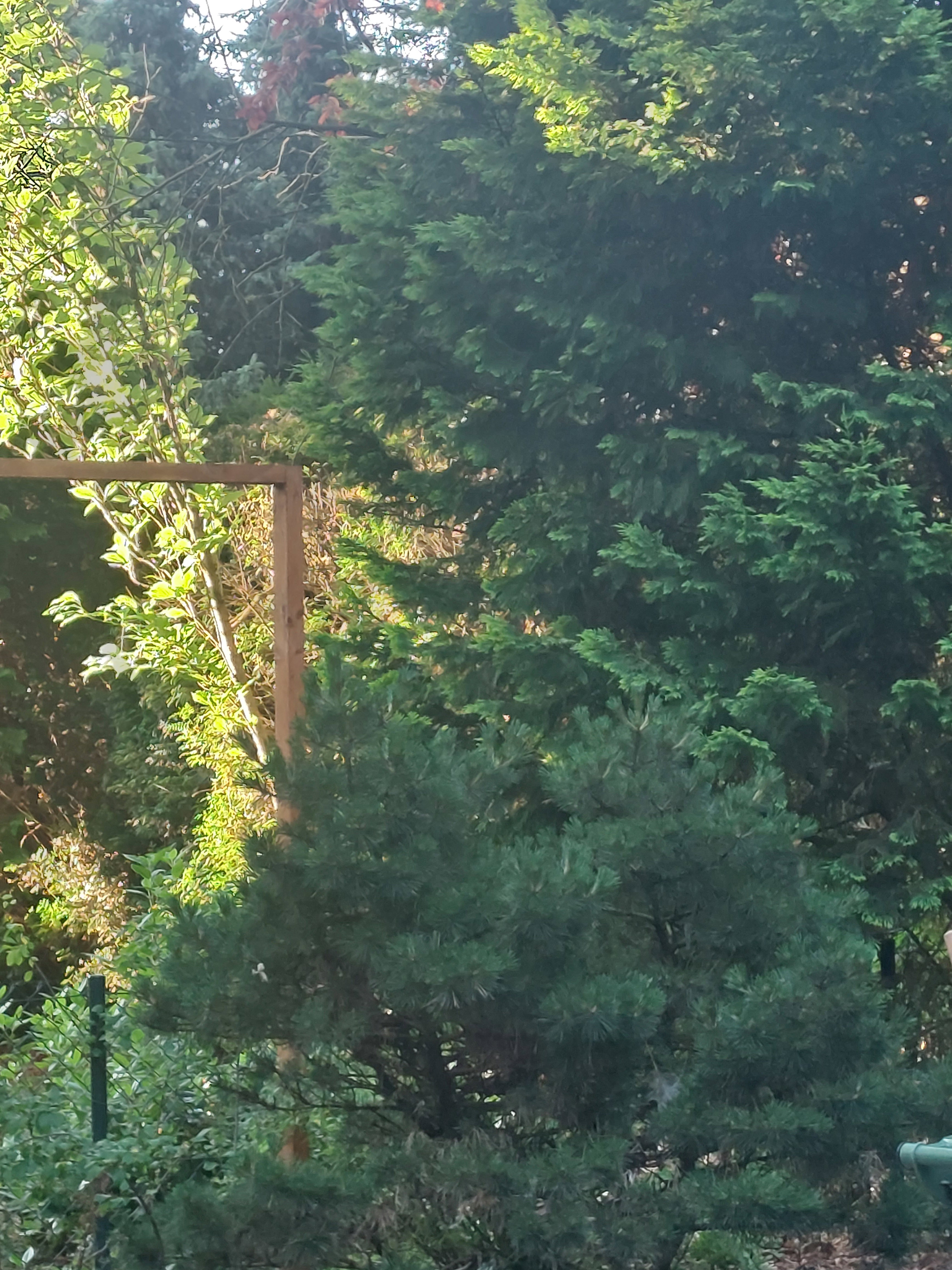 Natuurhuisje in Rekem
