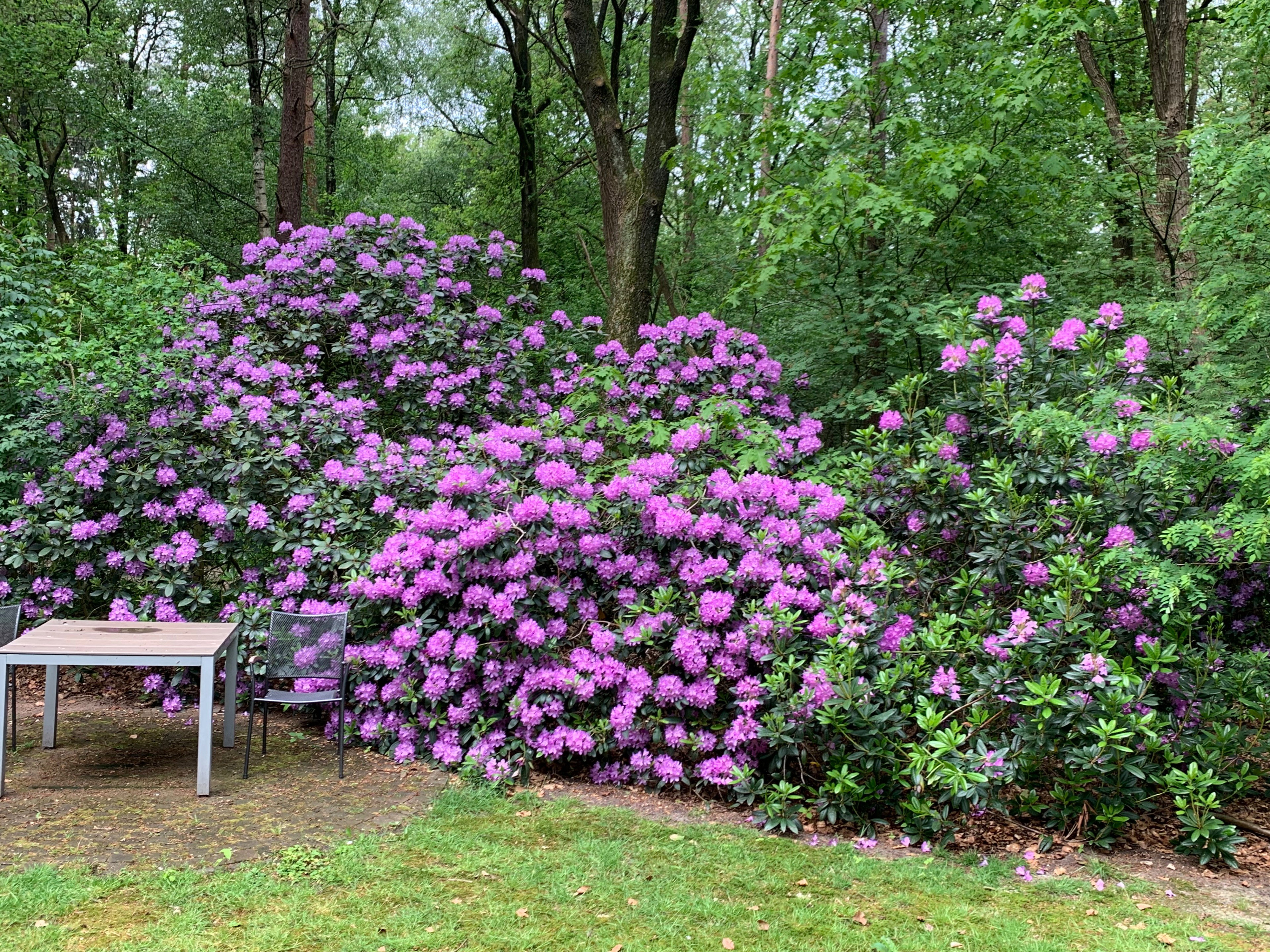 Naturhäuschen in Garderen