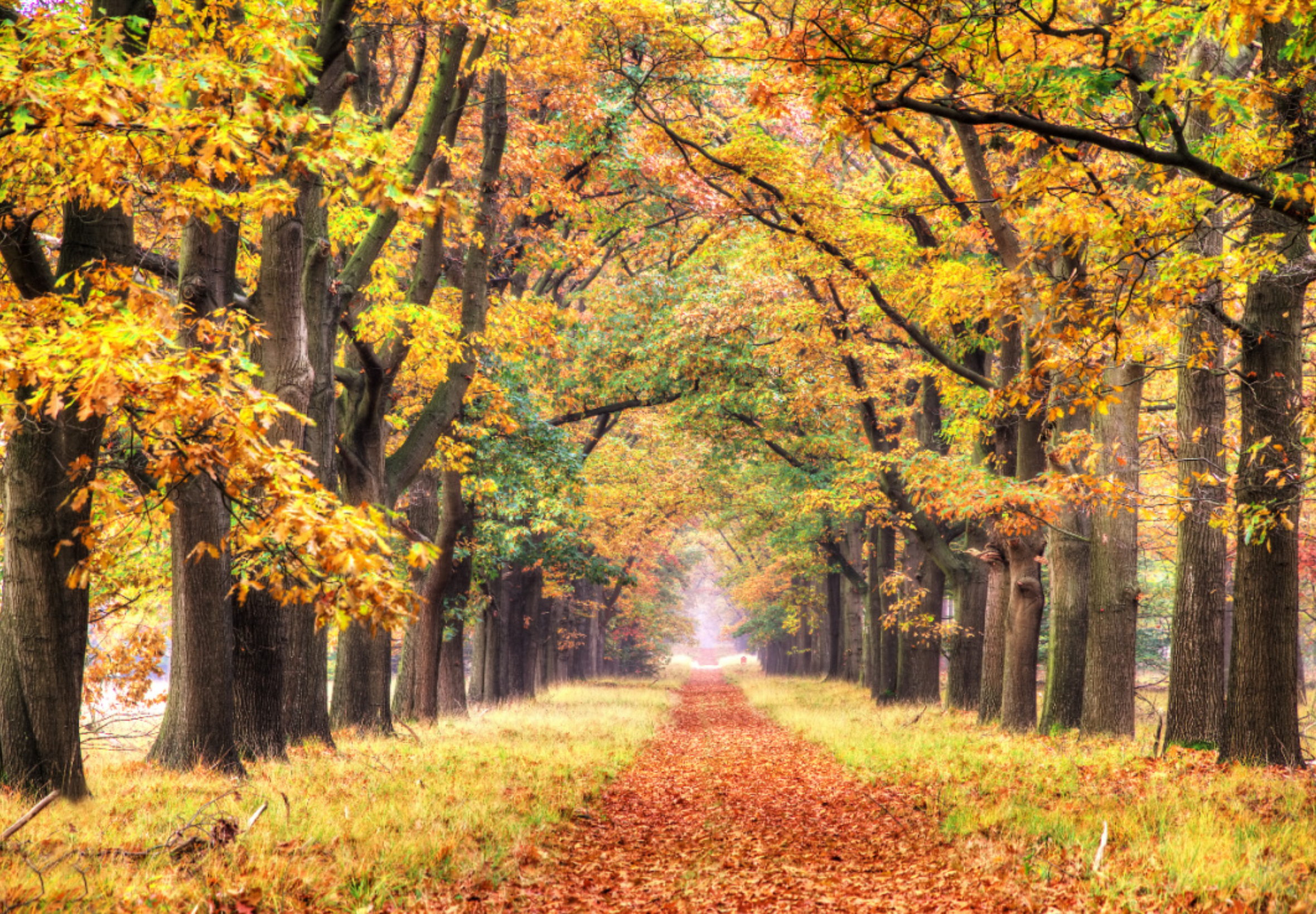 Natuurhuisje in Garderen
