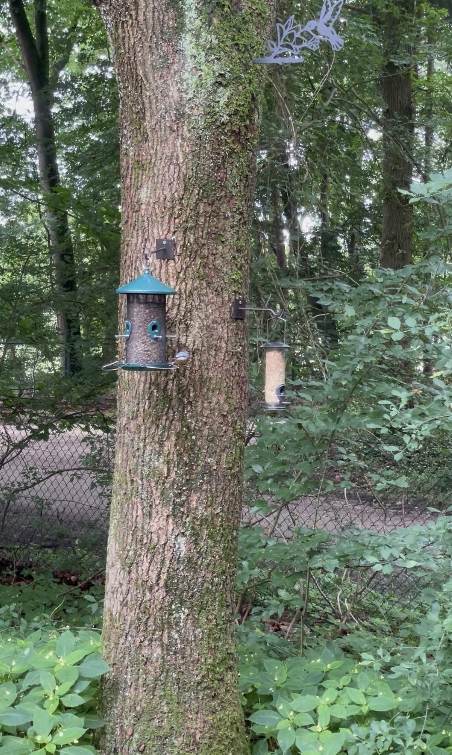 Natuurhuisje in Garderen