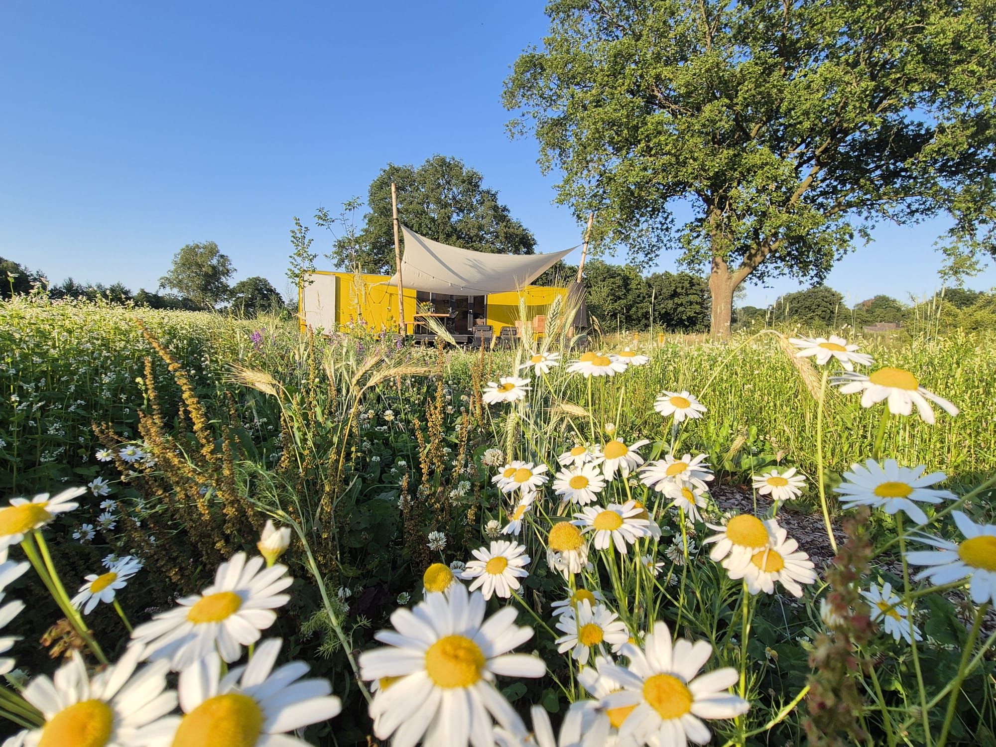 Natuurhuisje in Halle