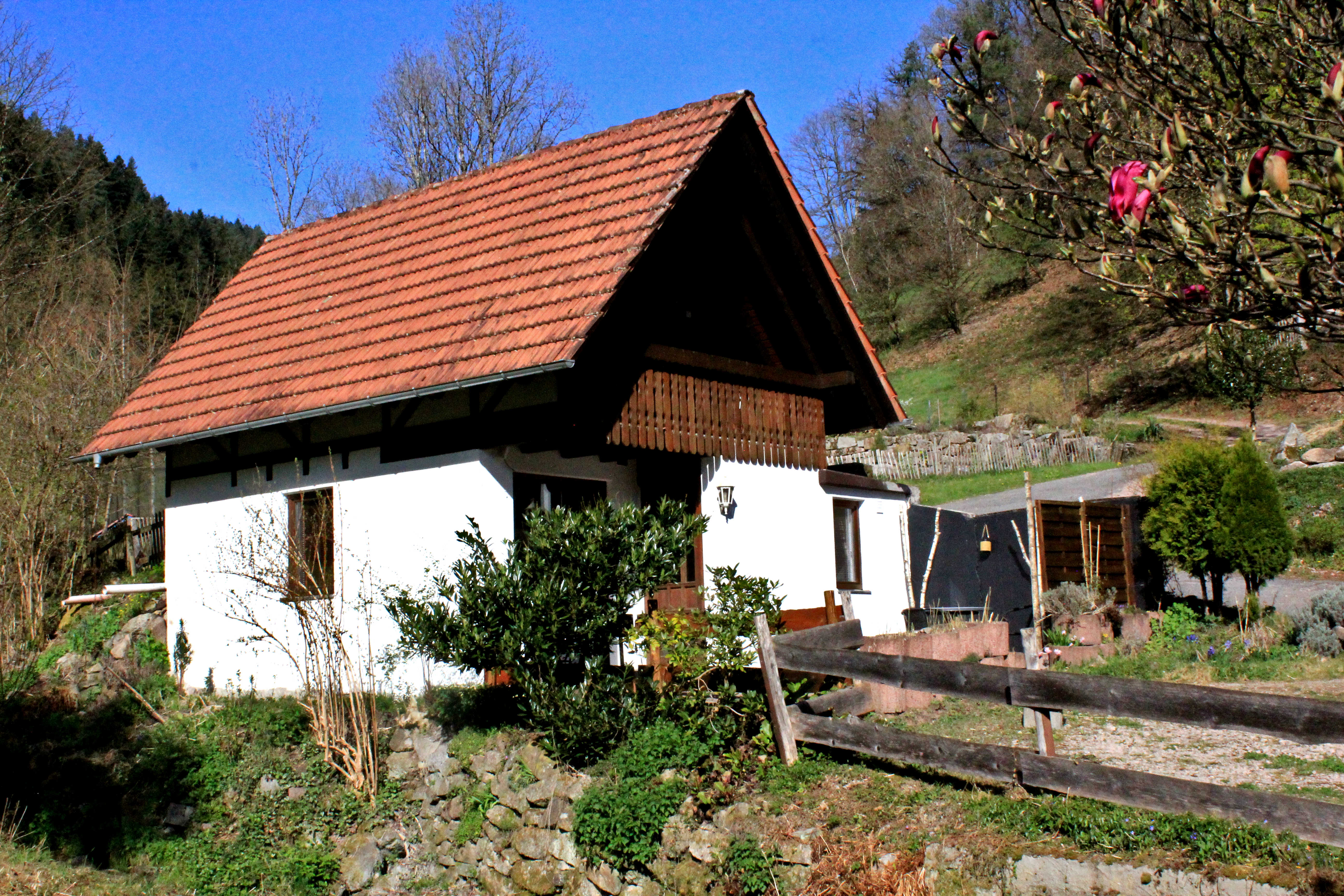 - image: 22