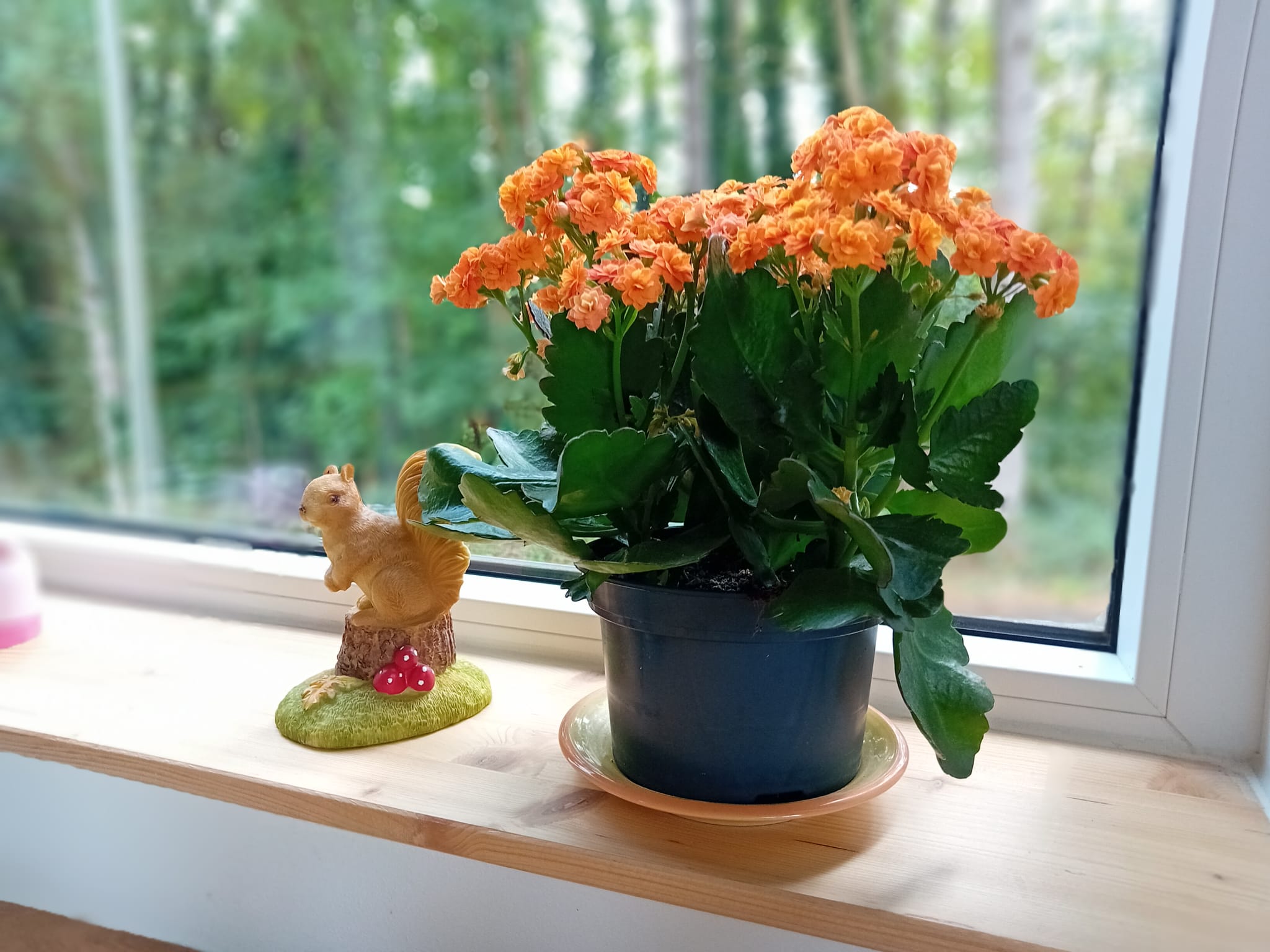 Natuurhuisje in Waulsort