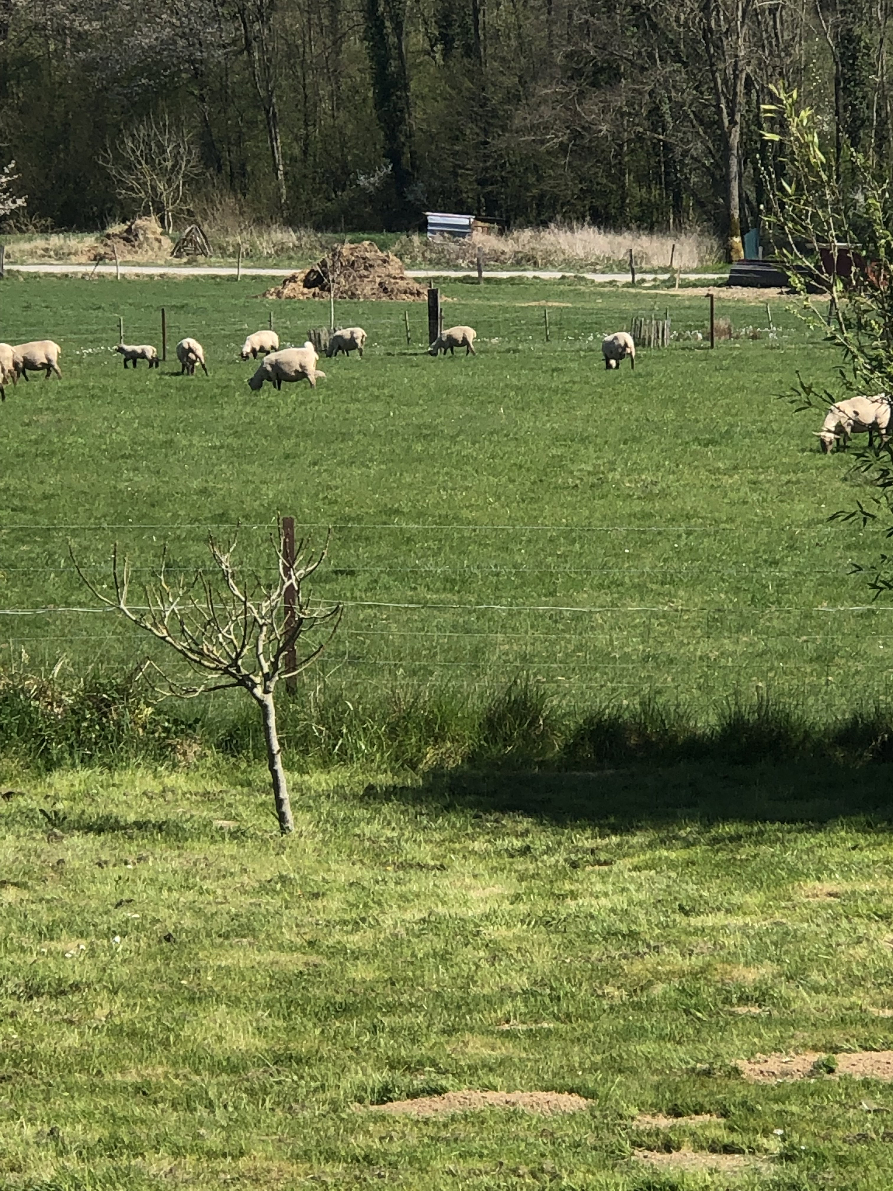 Natuurhuisje in Rocquigny