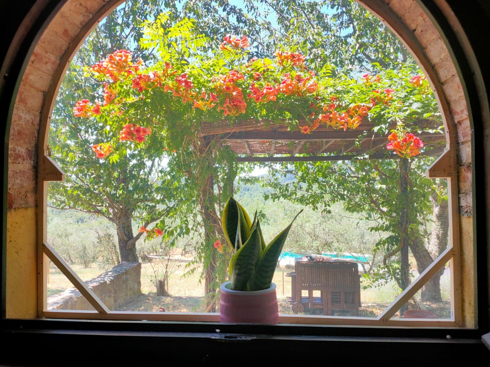 Maison nature à Cavriglia