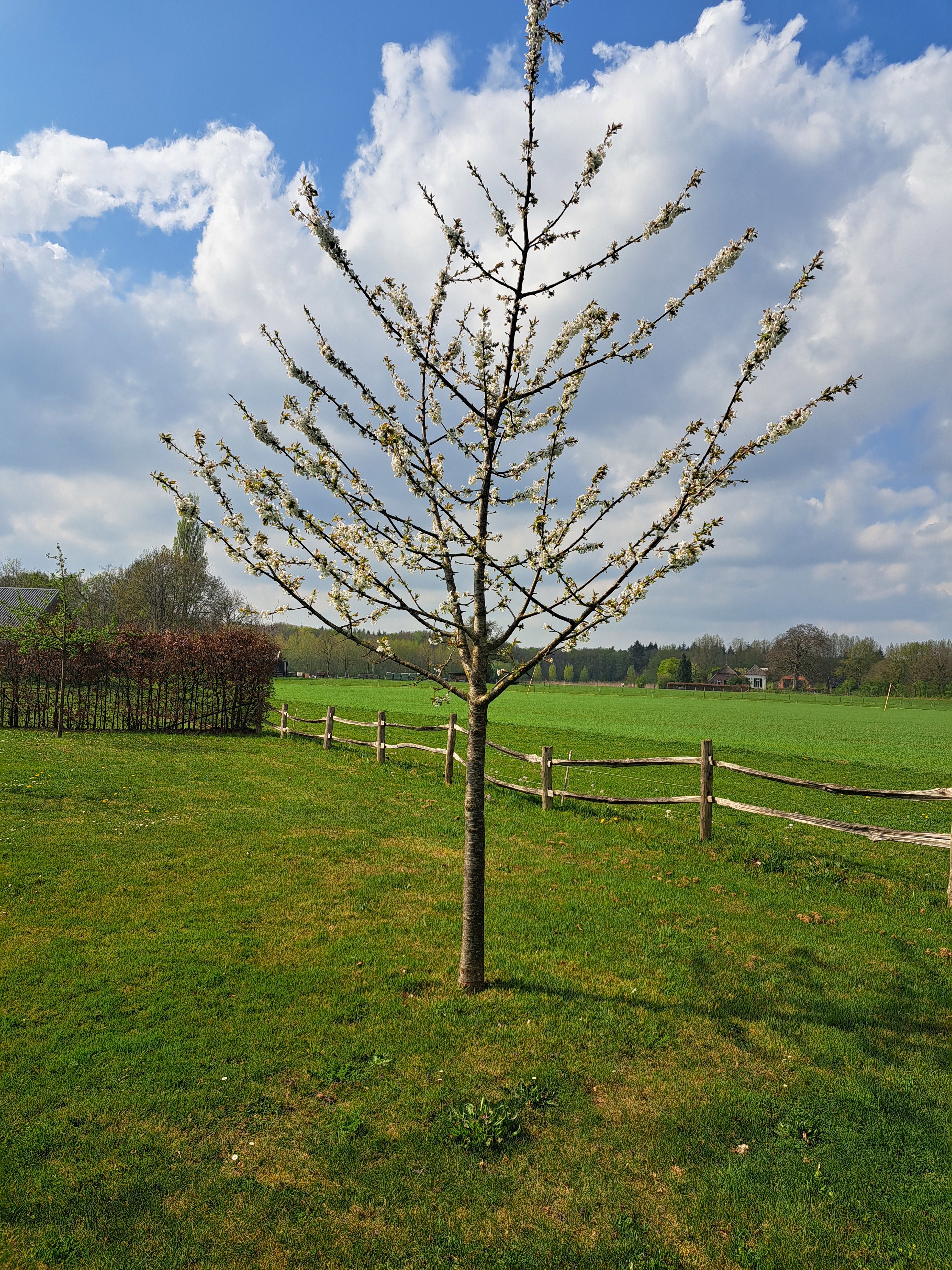 Natuurhuisje in Wichmond
